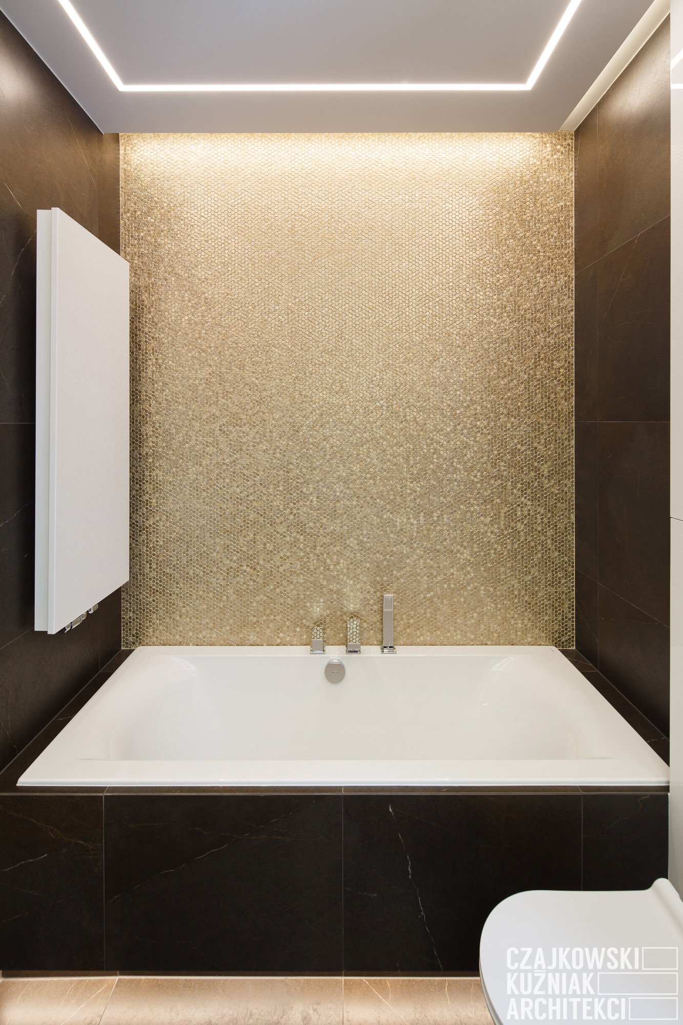 卡托维兹私人住宅的精致室内设计-31