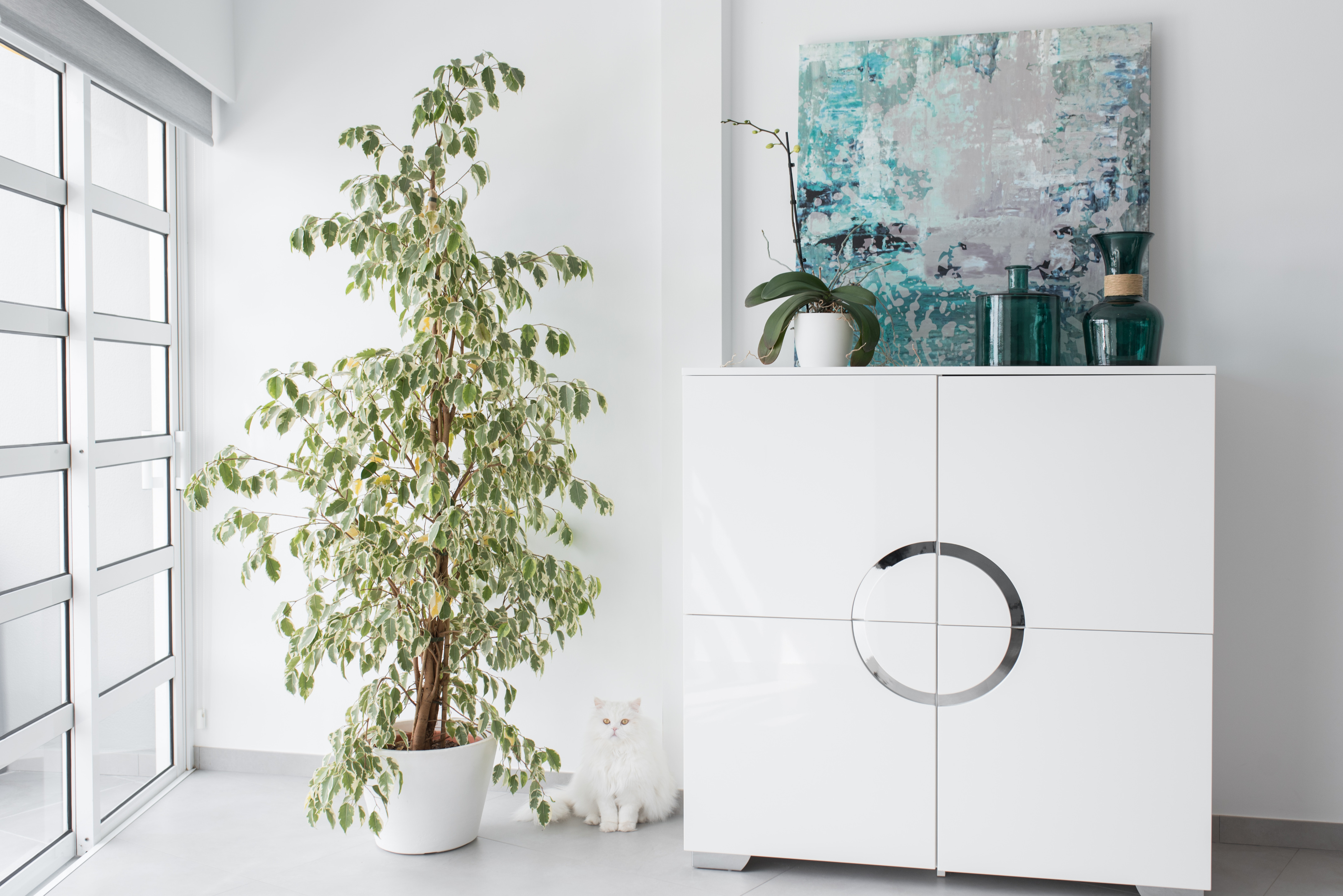 圣克鲁斯·德·特内里费复式公寓-3