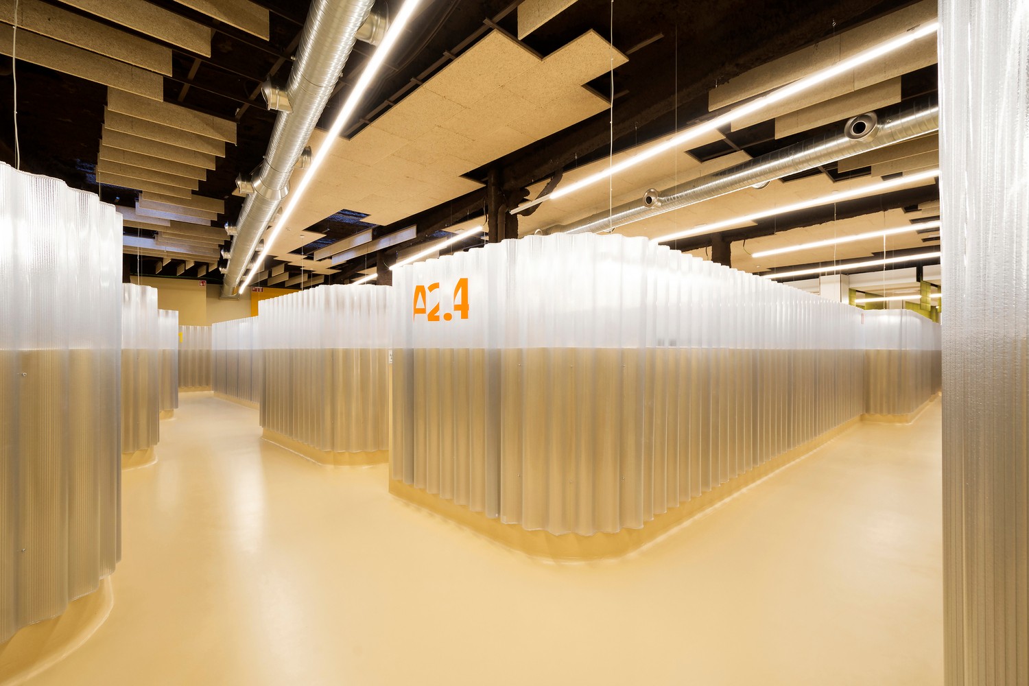 圣帕布罗大学综合诊所  Adam Bresnick-2