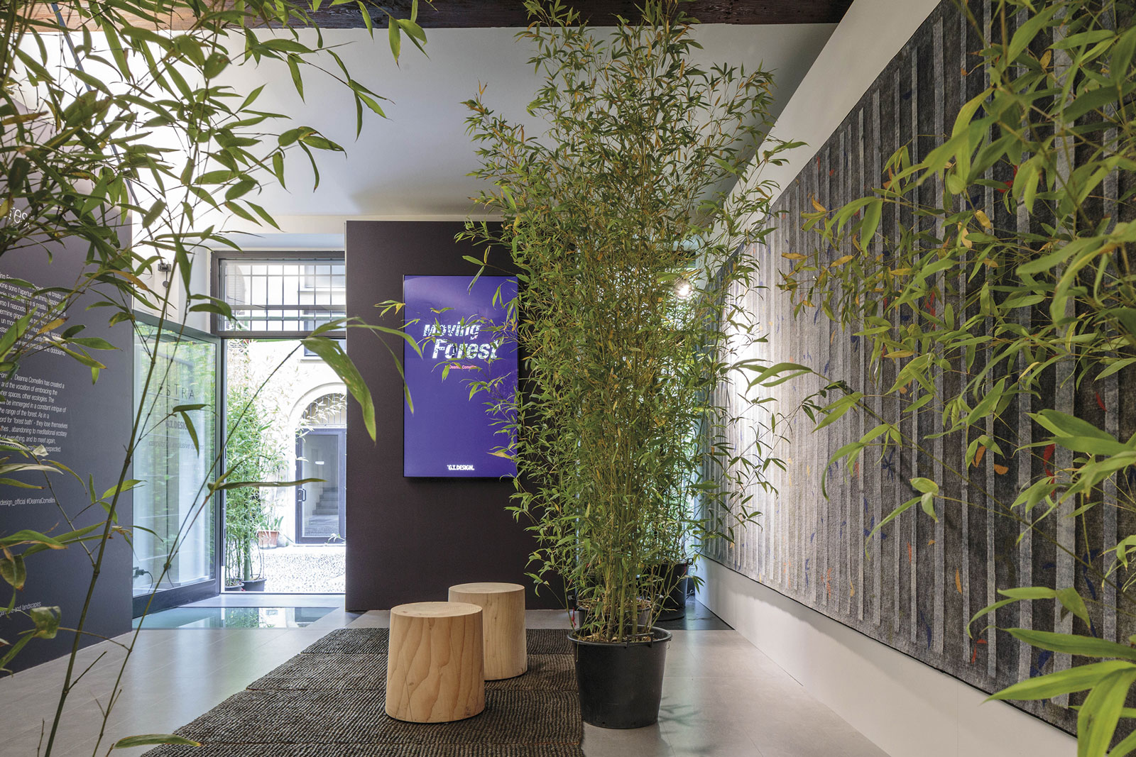 移动森林·迪安娜·科梅利尼著-1