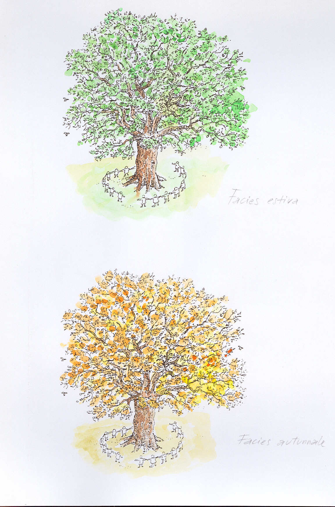 湖畔学校设计大赛-9