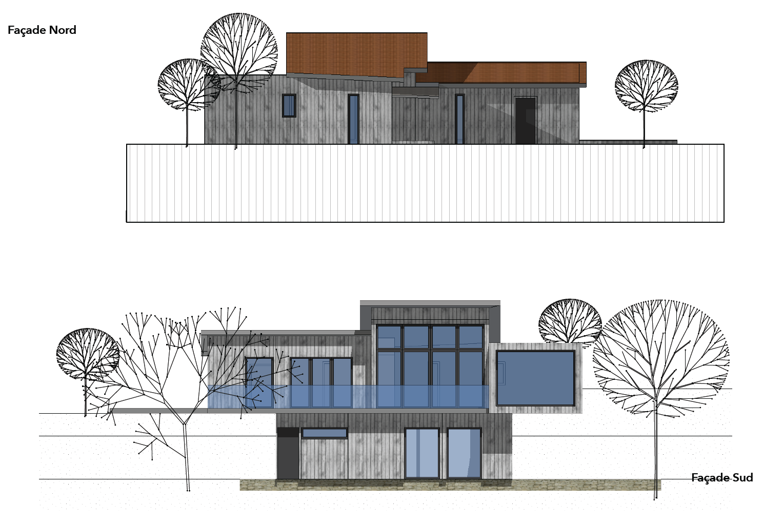Wood East 住宅设计-7