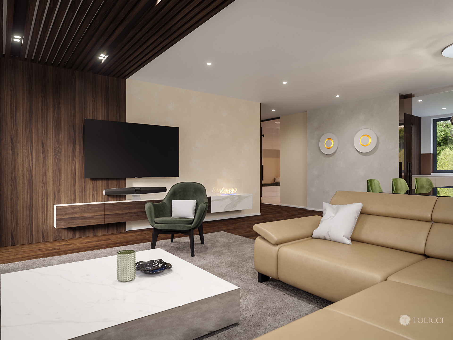 2017 年未实现的巴č家庭住宅设计-11