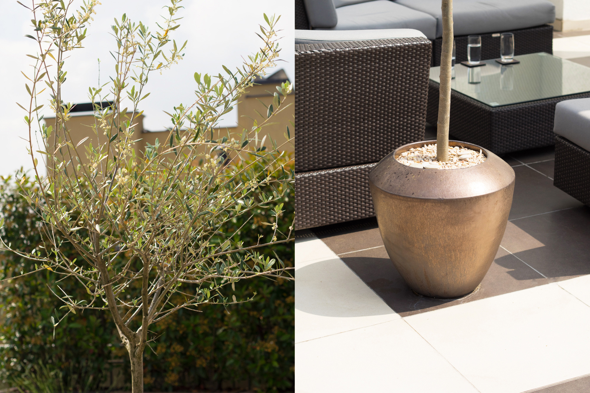 Belgrade 城市中心景观屋顶露台公寓-13