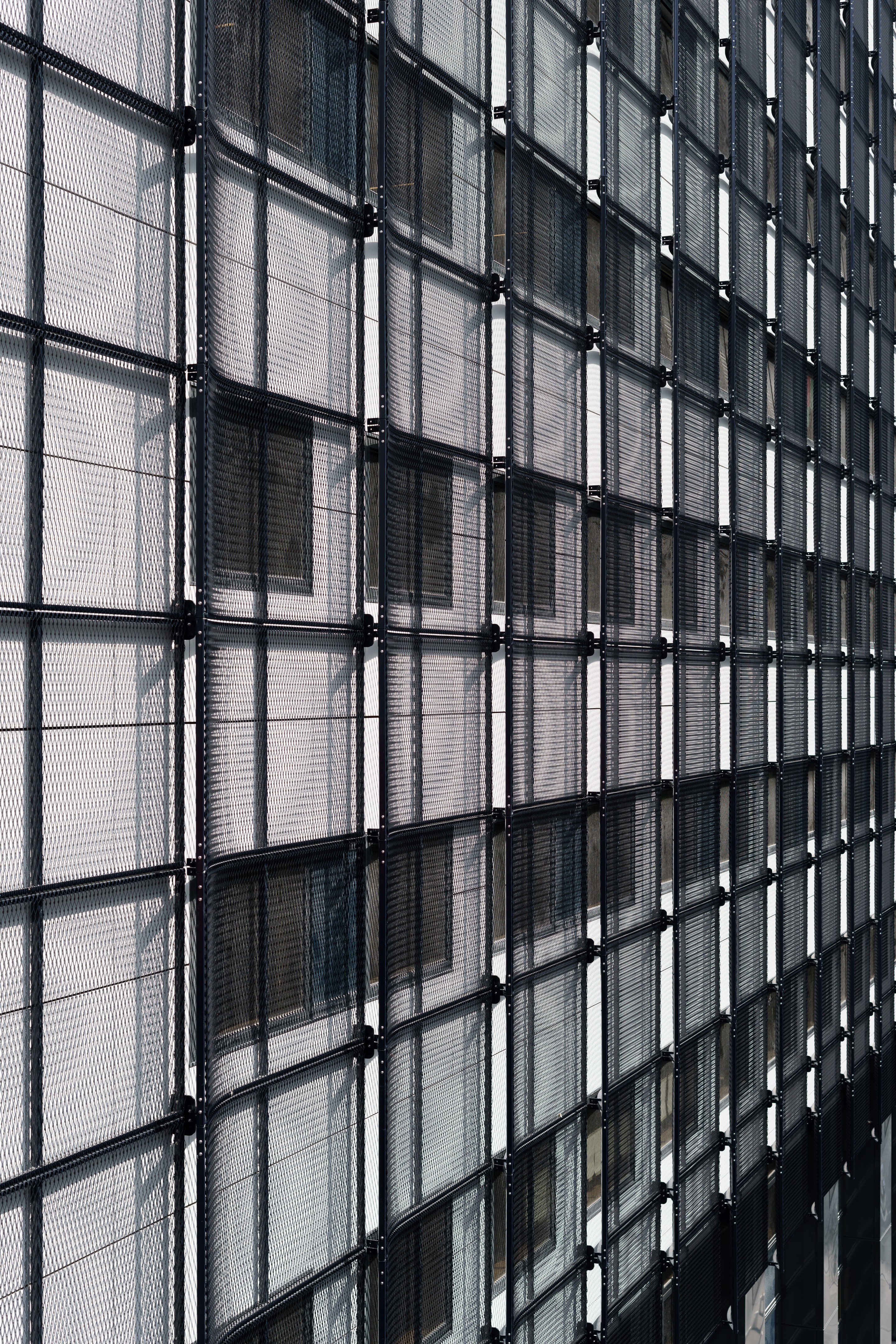 勒·布莱克珀尔或勒·黑珍珠-18