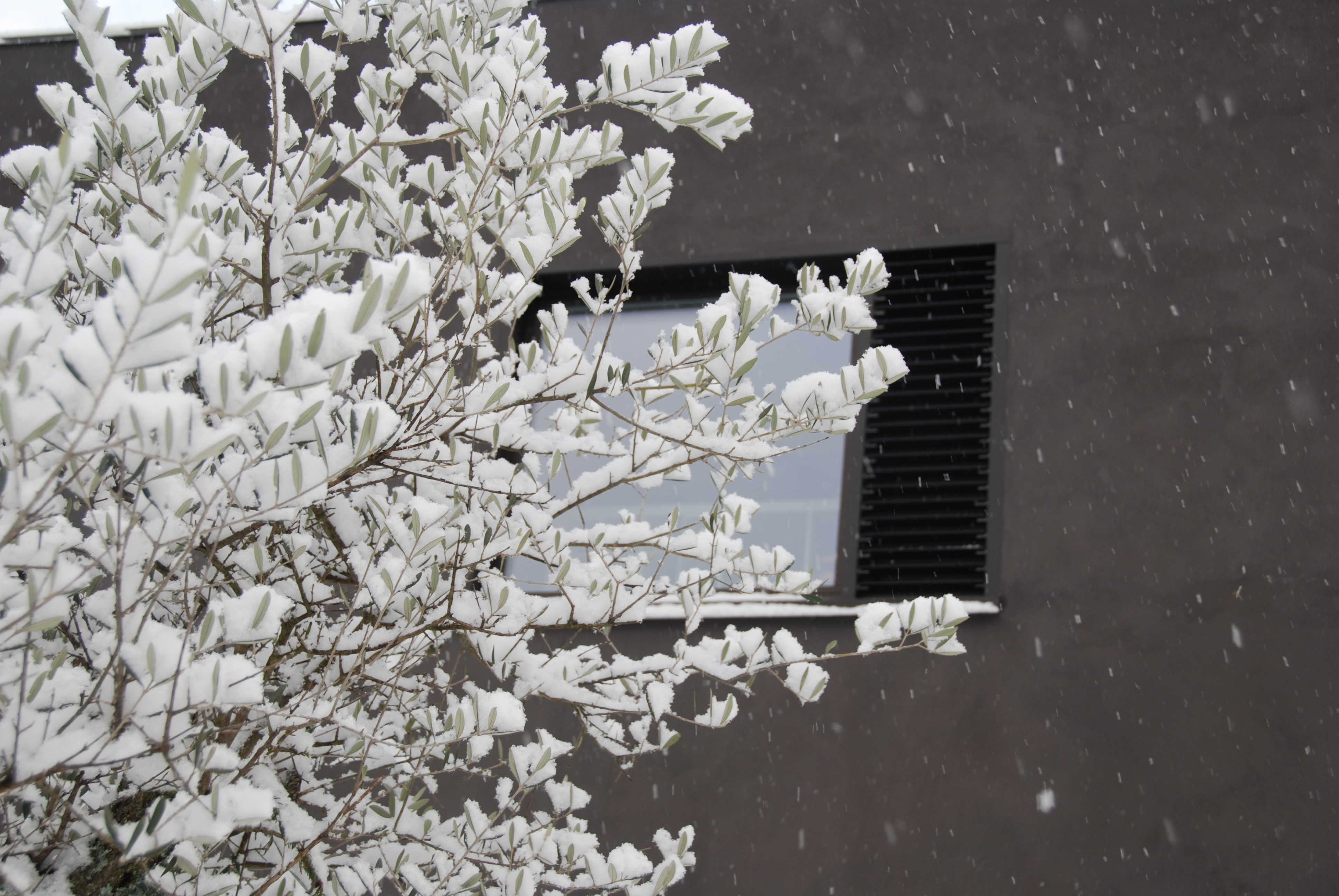 2011 年完工的家庭住宅 | 精致室内设计与定制家具-25