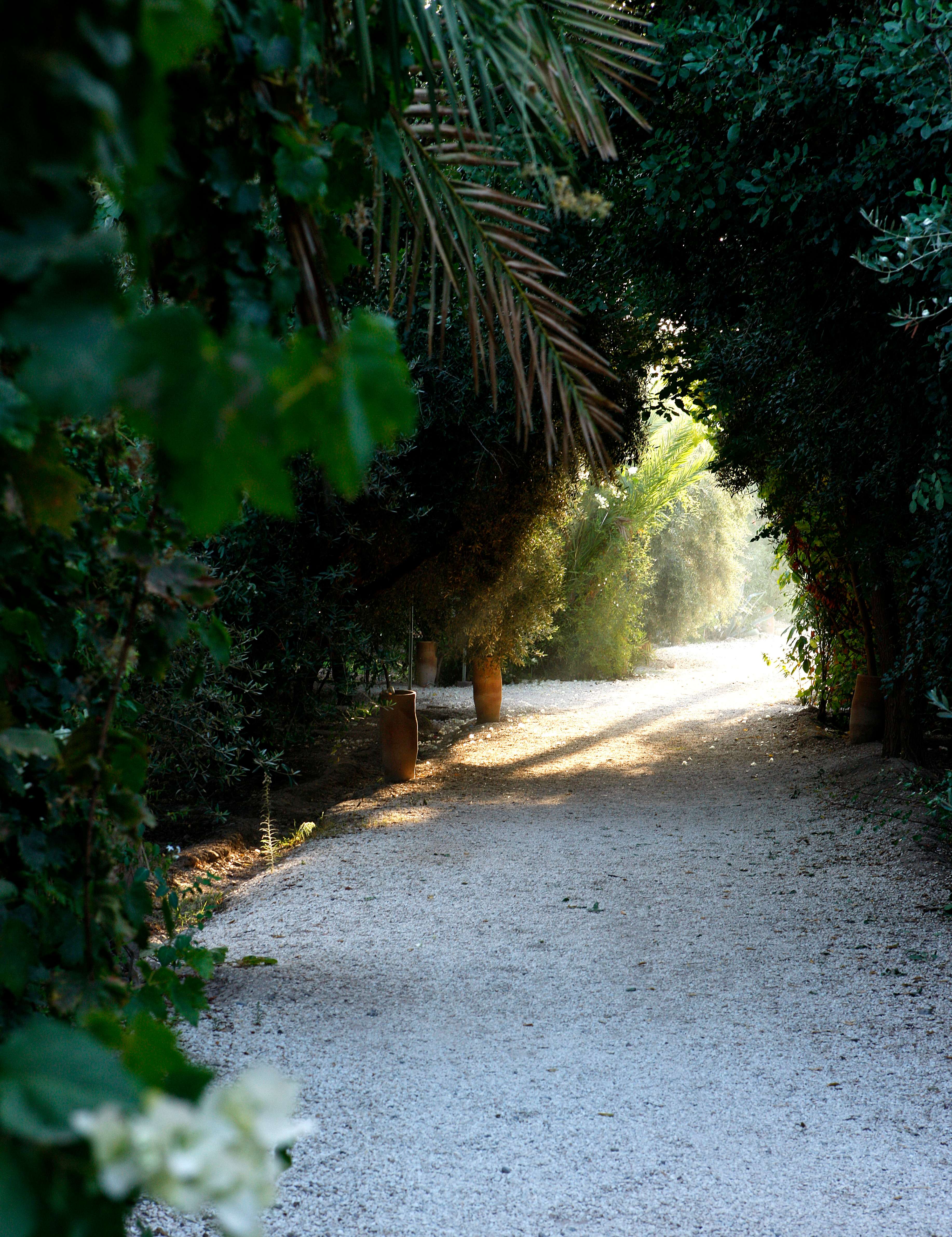 摩洛哥马拉喀什Jnane Tamsna酒店(未上架)-13