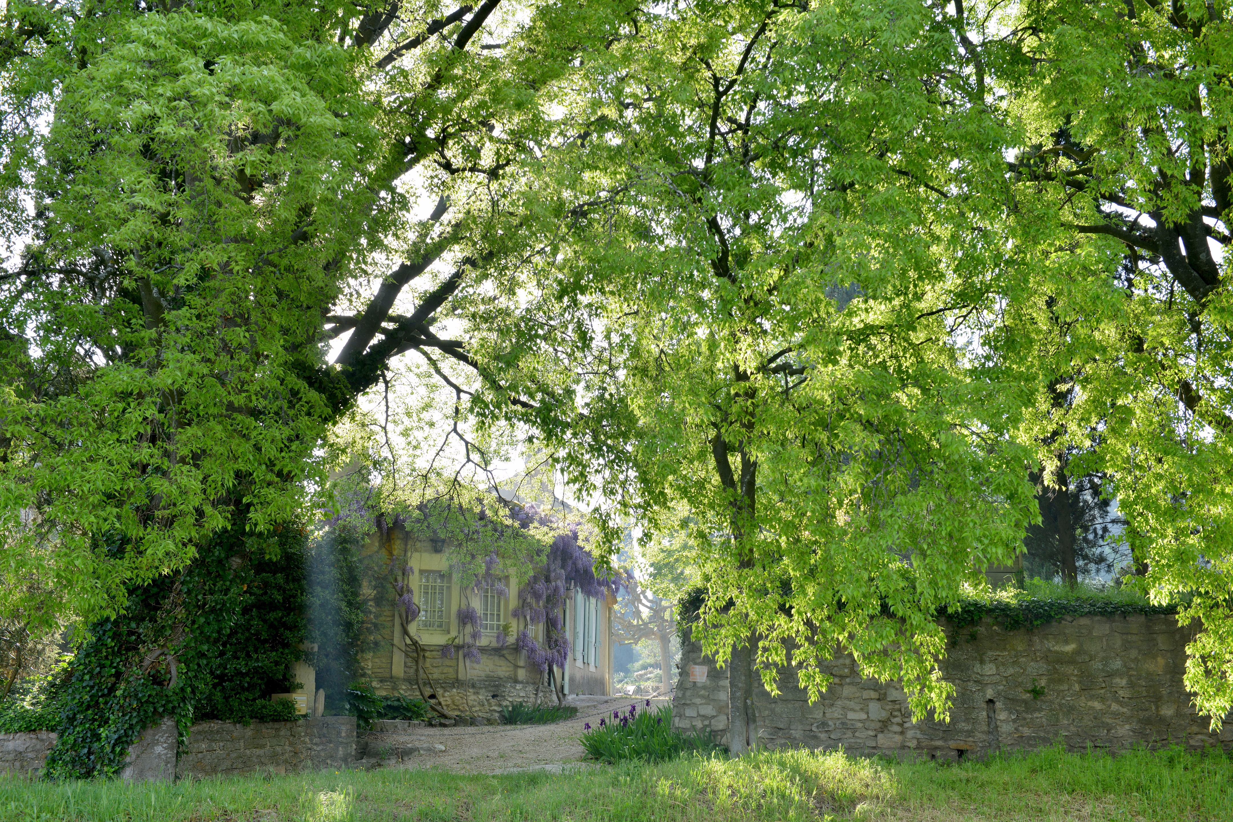 普罗旺斯香薰世家住宅设计-49