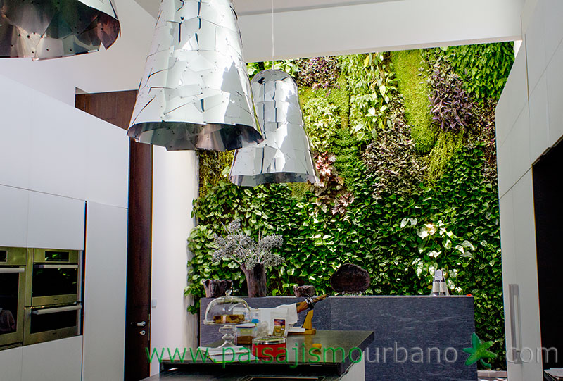 墨西哥绿意盎然的家庭住宅-45