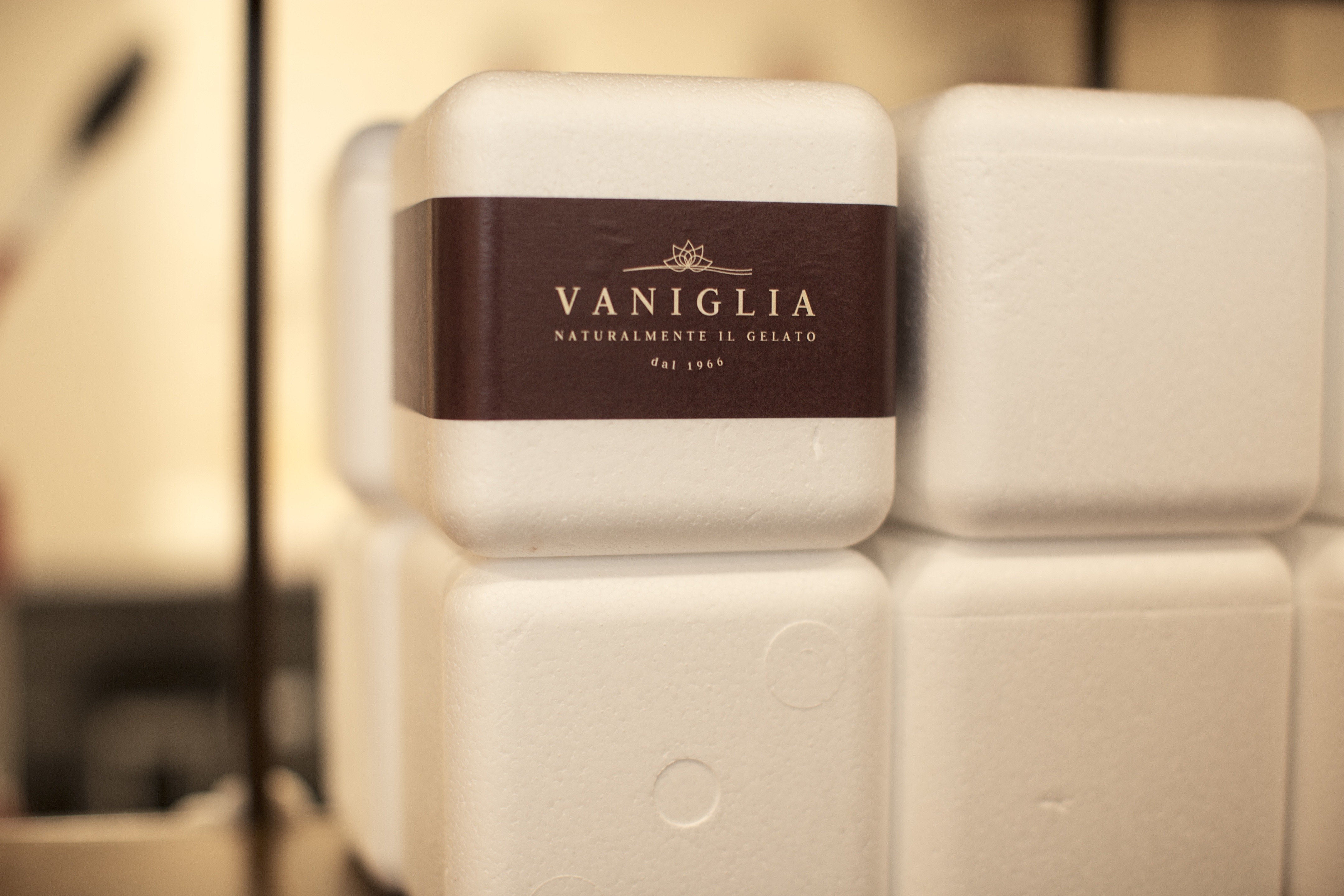 2017 年完成的 VANIGLIA Gelaterie 室内设计案例-12