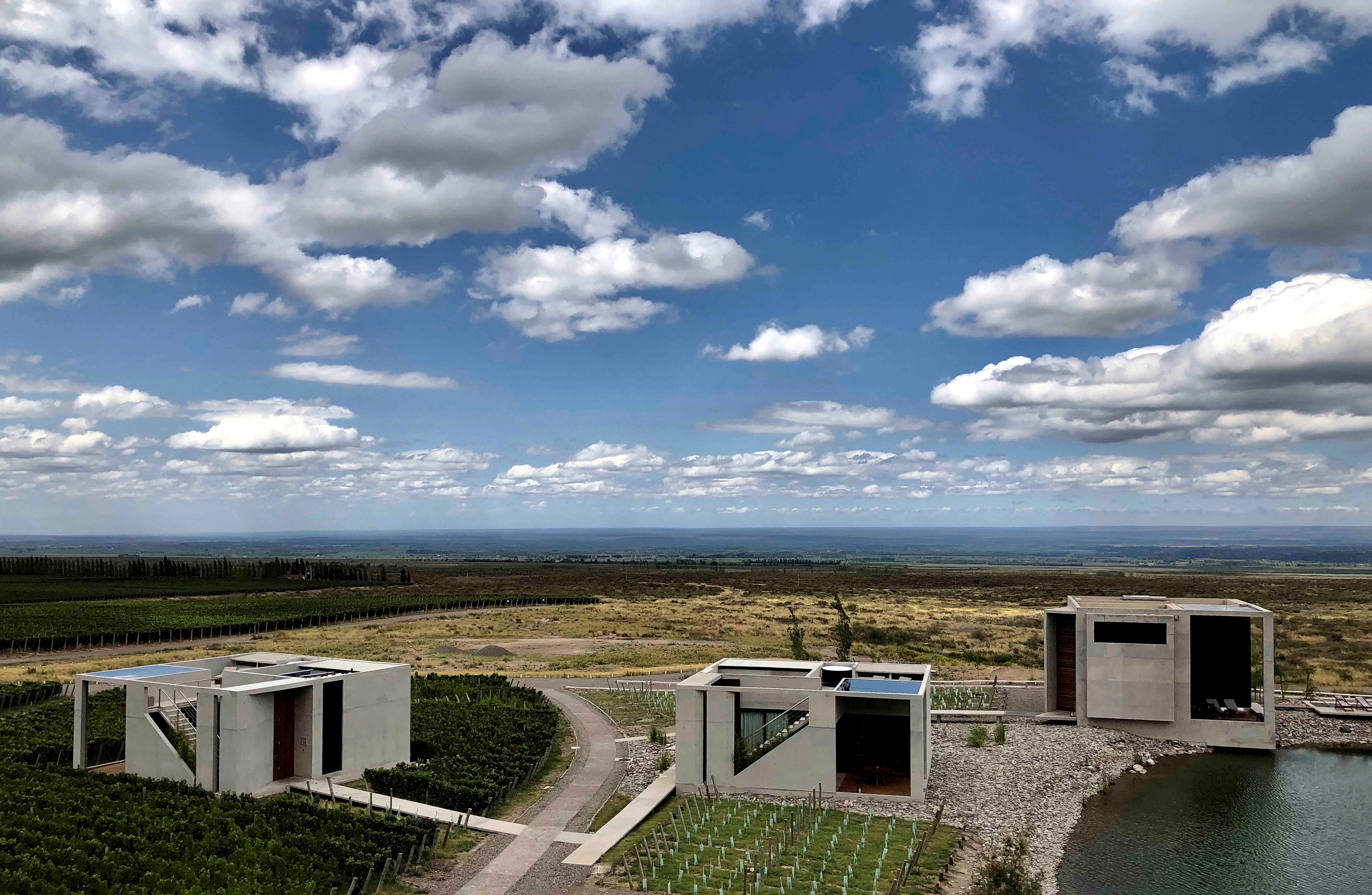 高山葡萄园里的绿色环保别墅-14