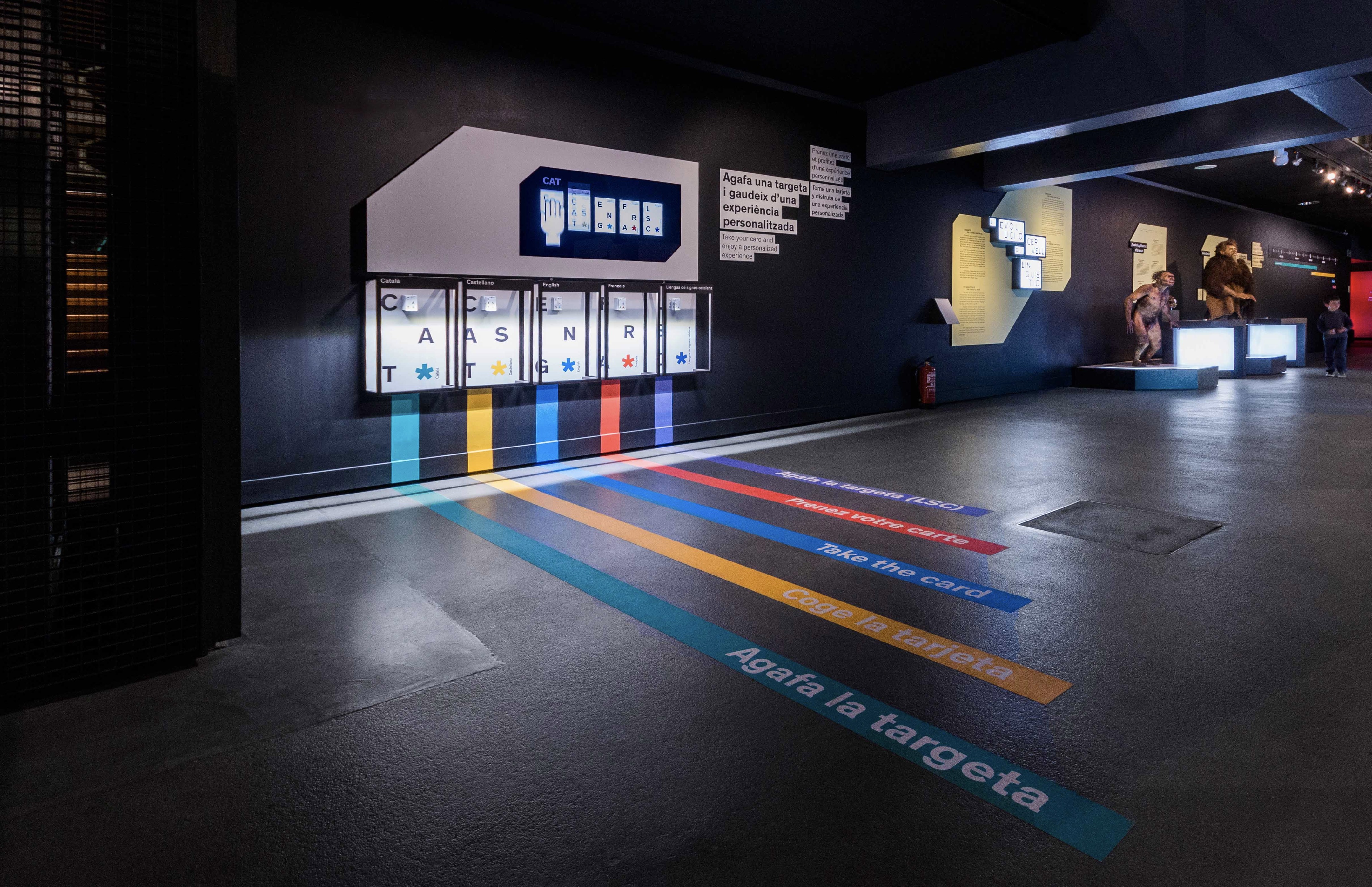 Talking Brains 展览设计-9