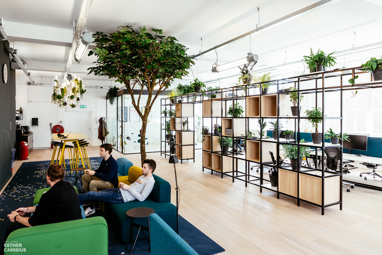 荷兰 Imkey 办公室 | 古典建筑中的现代绿意空间-6
