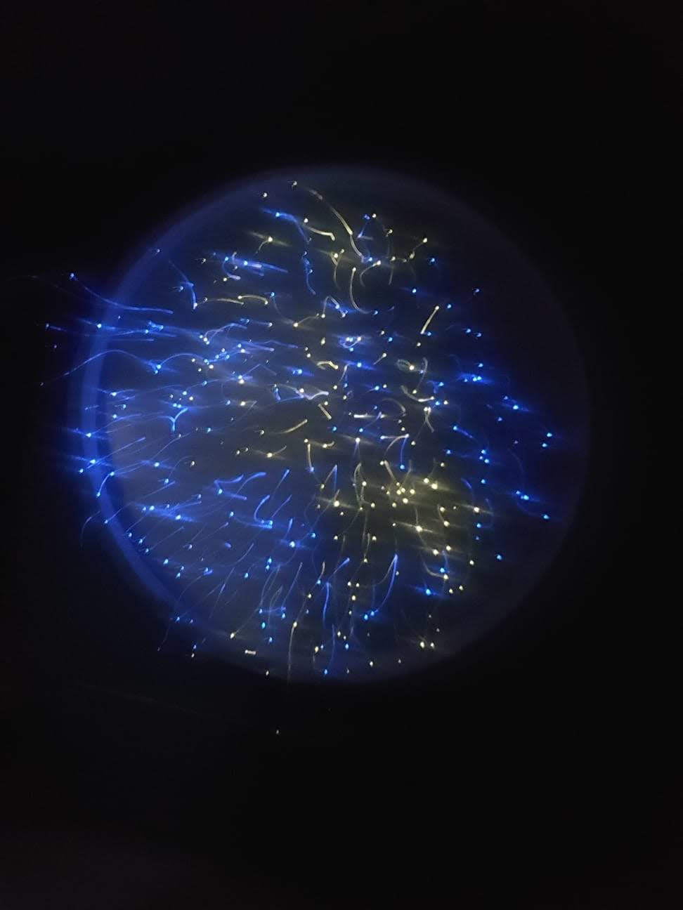 2018 年蒙特马里奥公寓设计-15