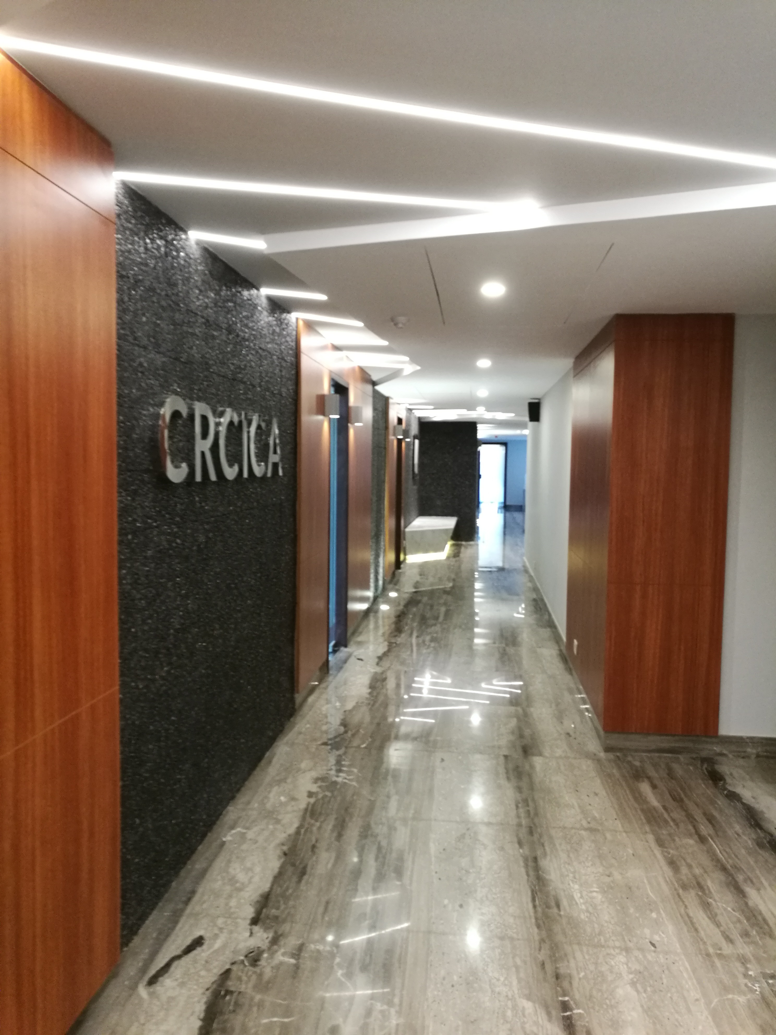 Cairo 国际仲裁中心现代与庄重的融合-5