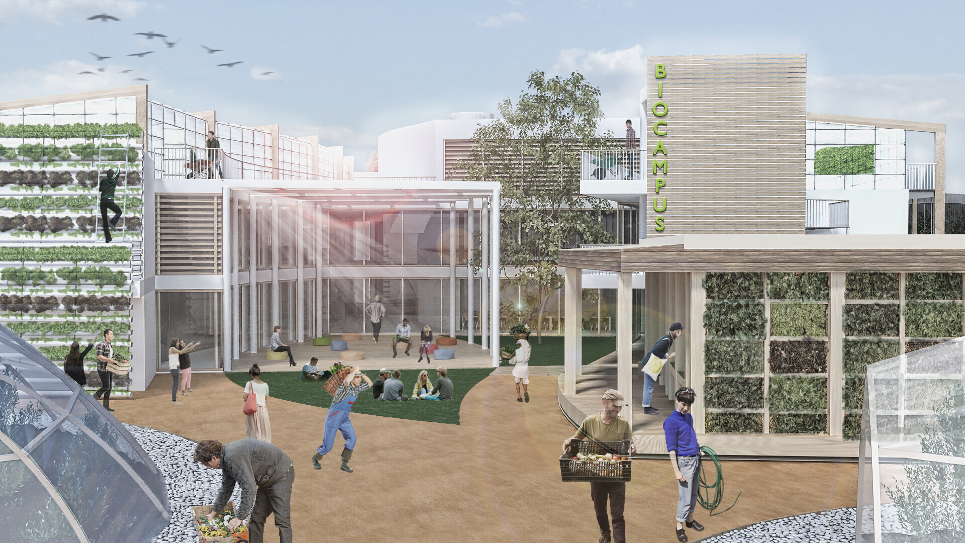 有机建筑理念下的零能耗学校设计-7