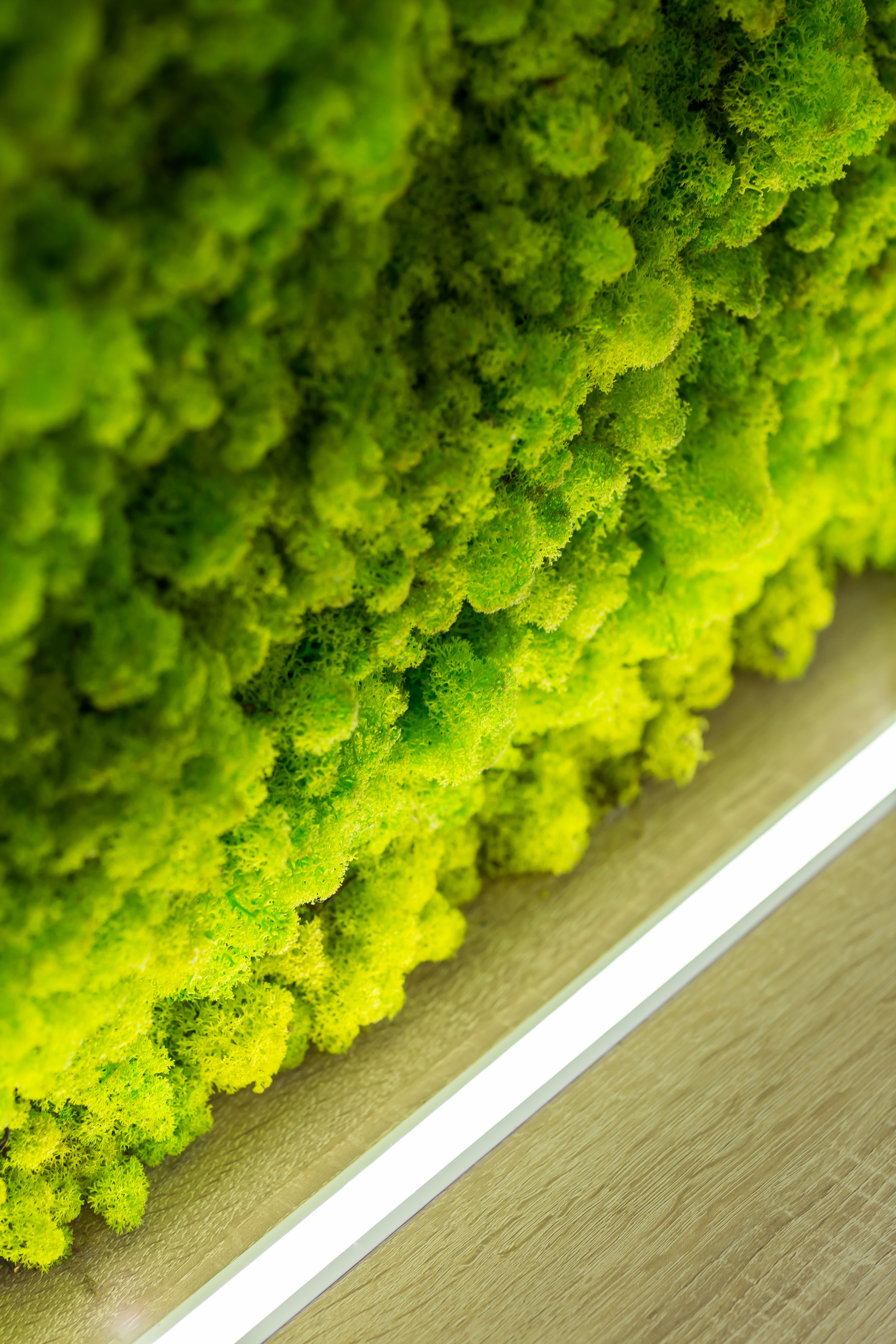 极简科技红 X 办公室-8