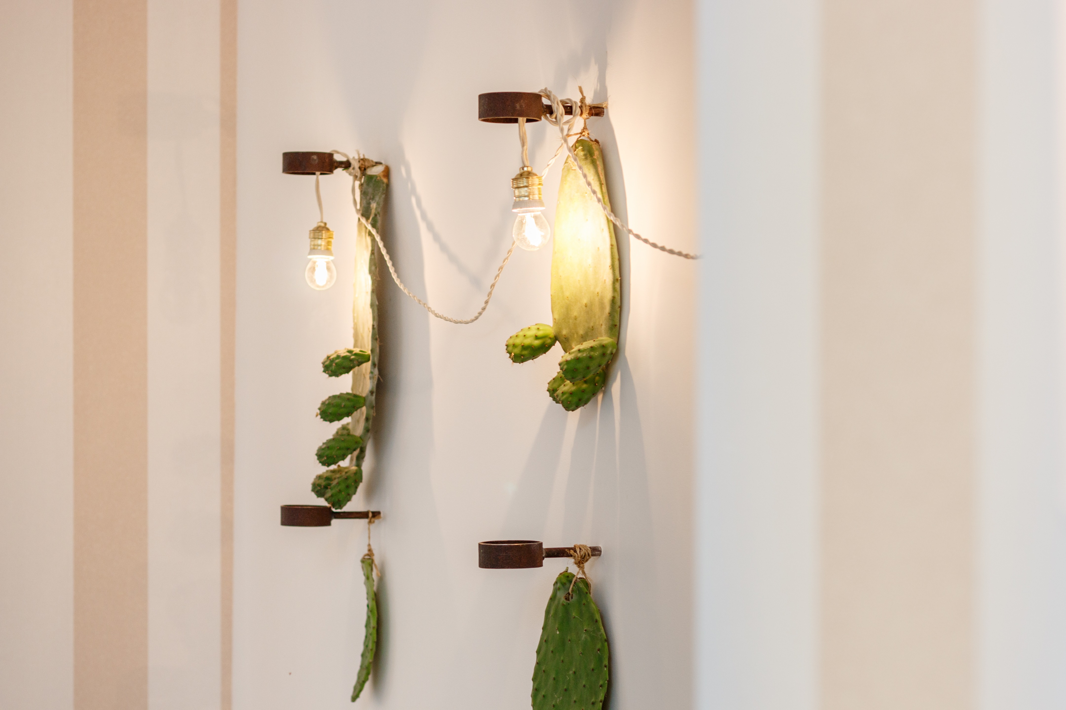 纯粹之爱 | 传统与土地的深情链接-9