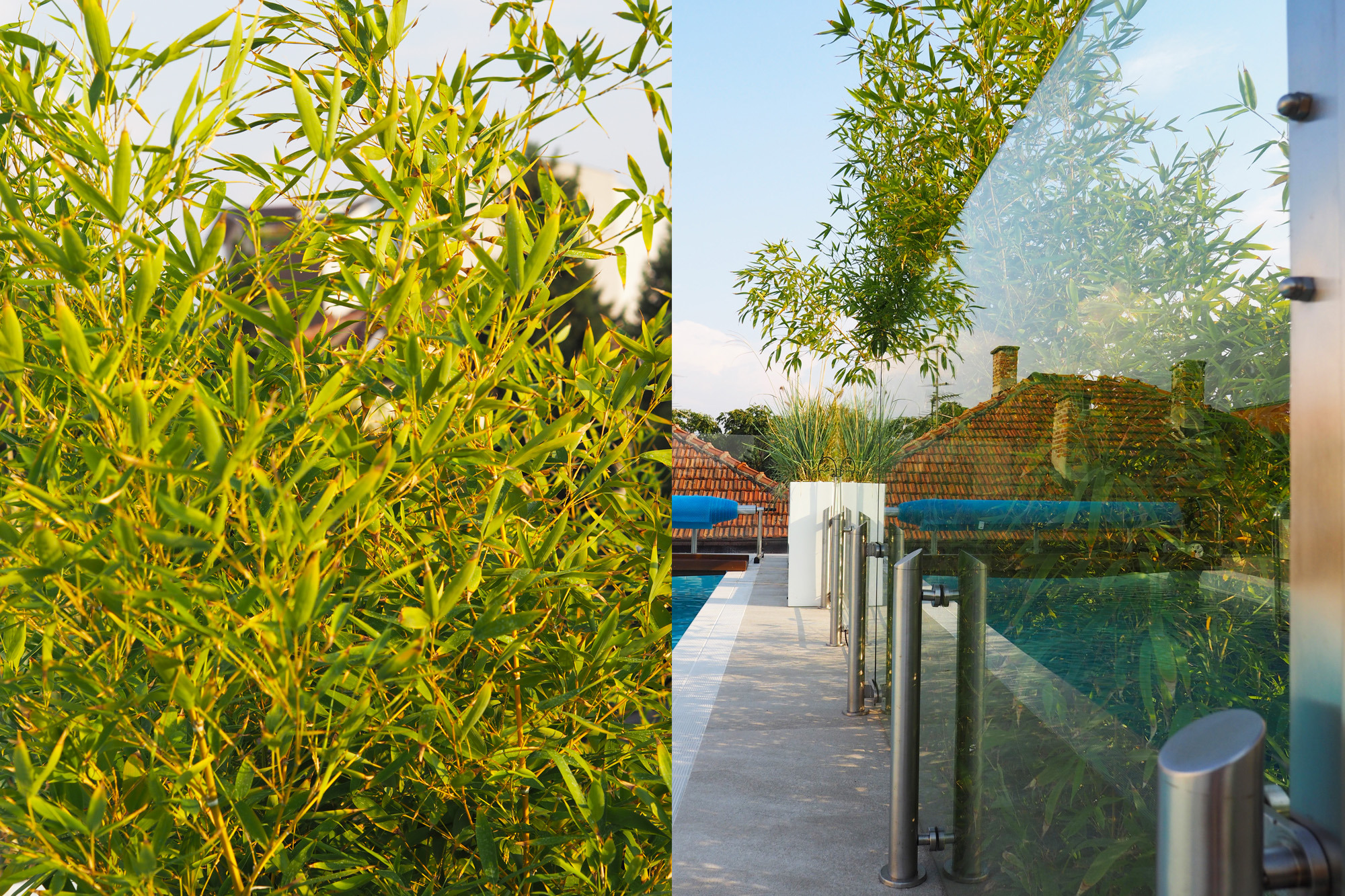 为所有感官而创造，私人住宅花园和屋顶露台-53