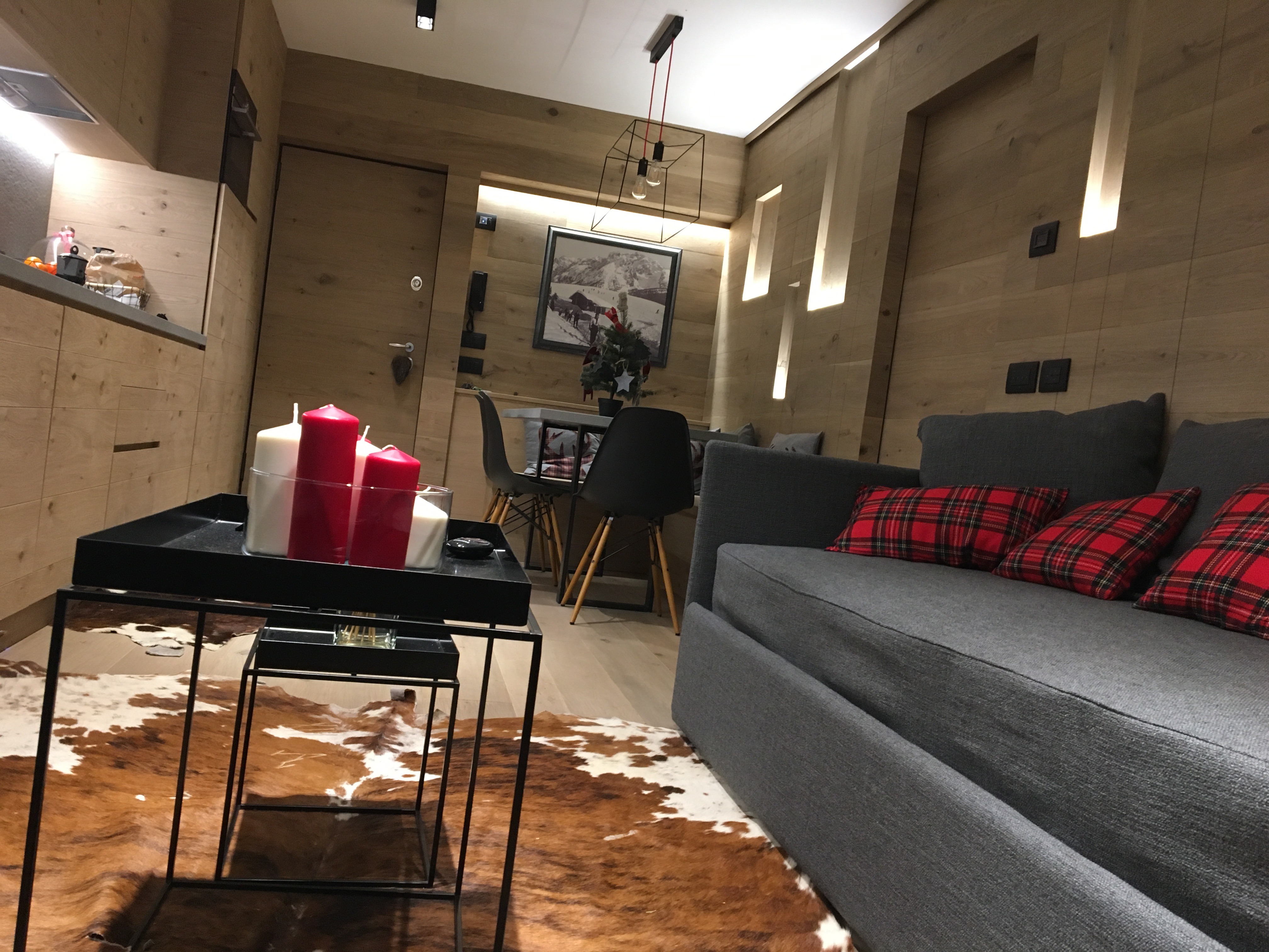 2017 年完成的阿尔卑斯山间别墅设计-3