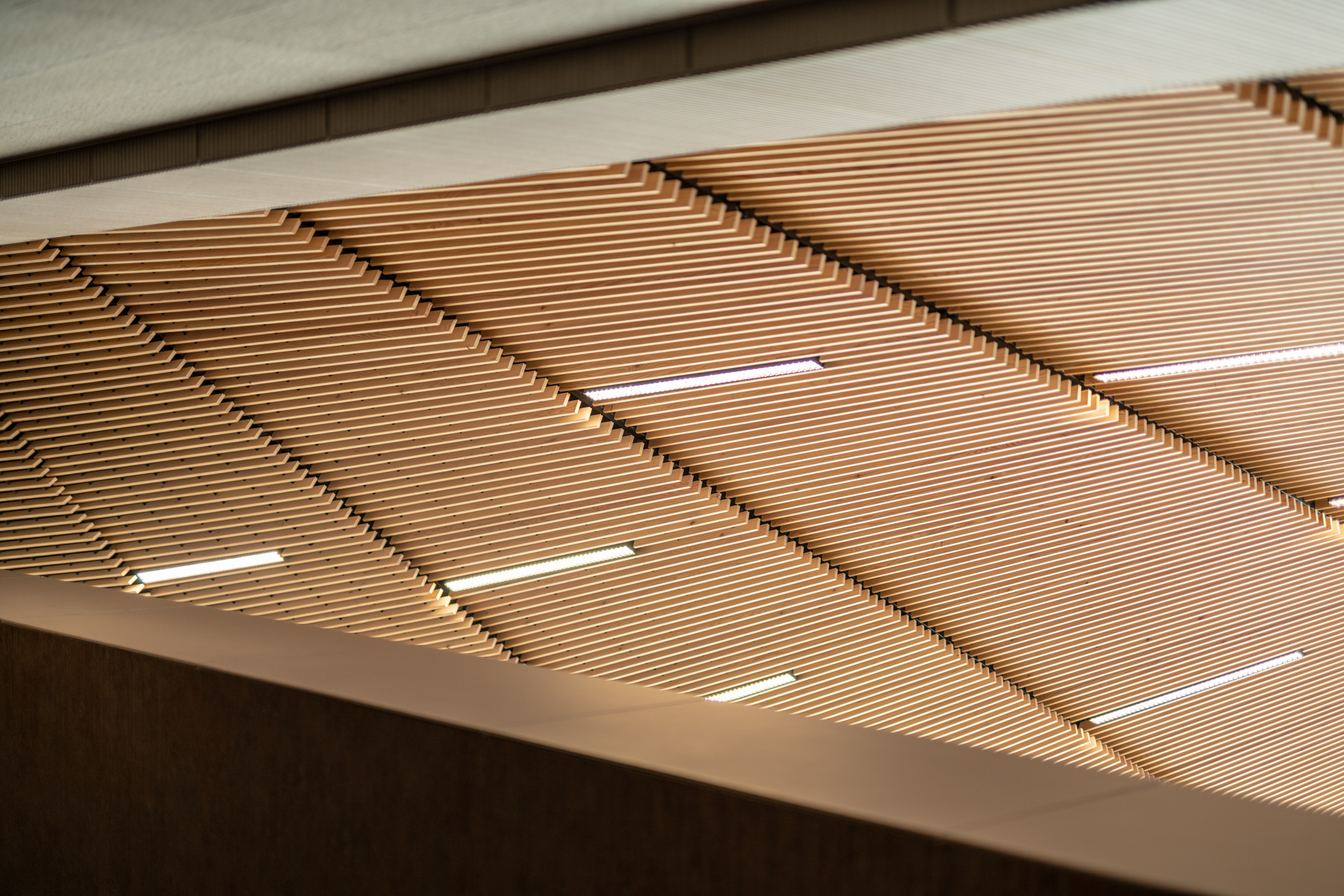 布达佩斯国家舞蹈剧院-17