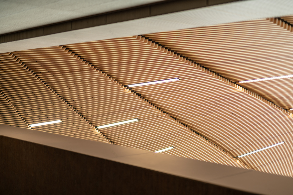 布达佩斯国家舞蹈剧院-17