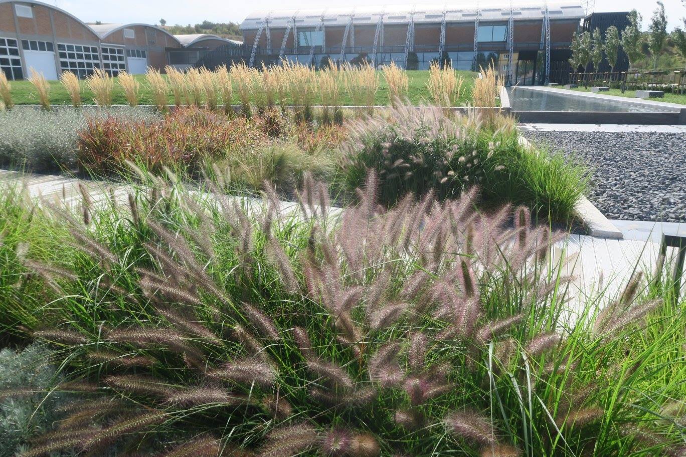 2017 年完成的 Scrigno Lab 项目——室内设计精品之作-20