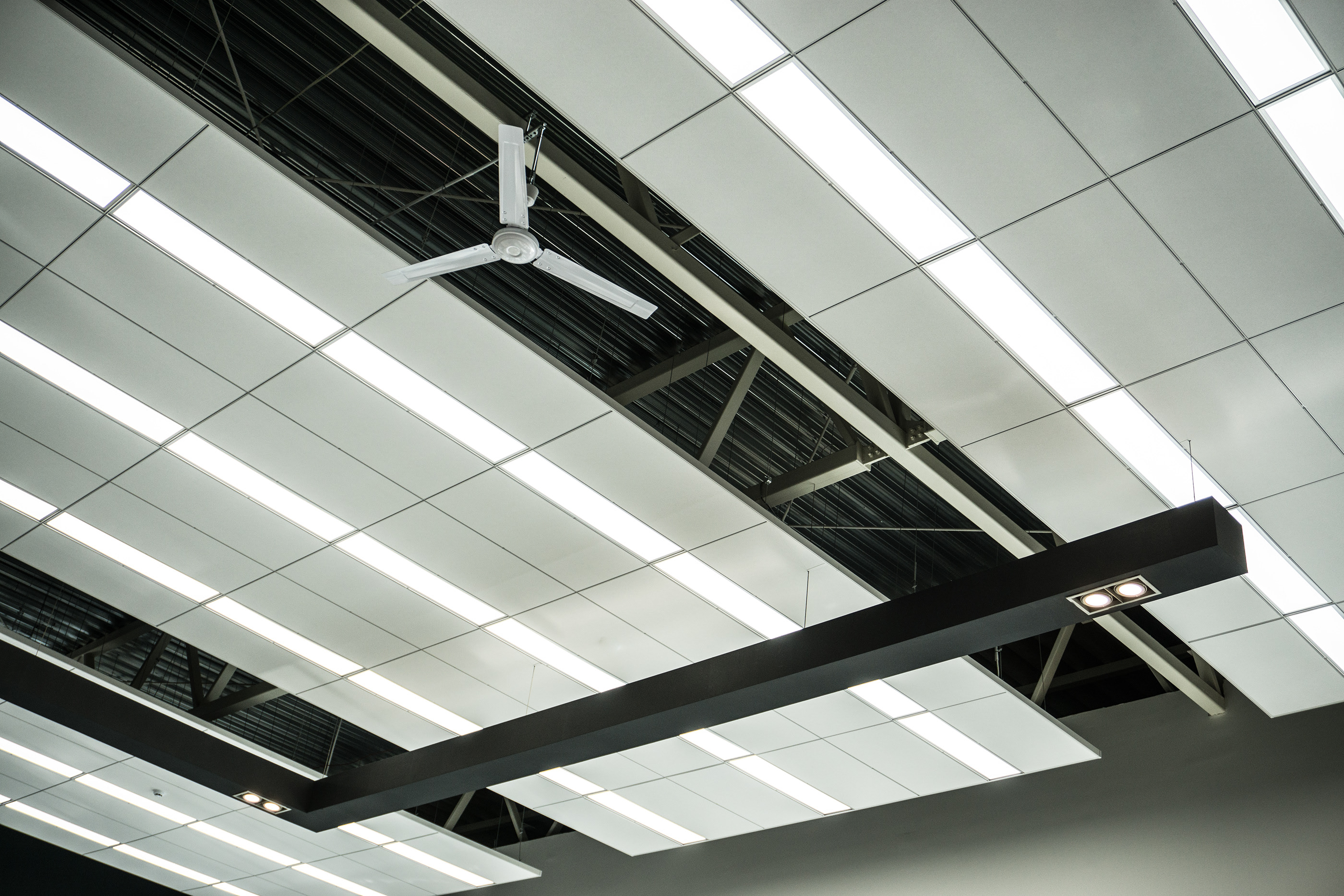 Celsis centre by 2L Architects-9