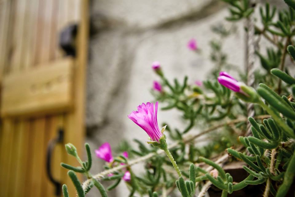 Su6 室内设计办公室-39