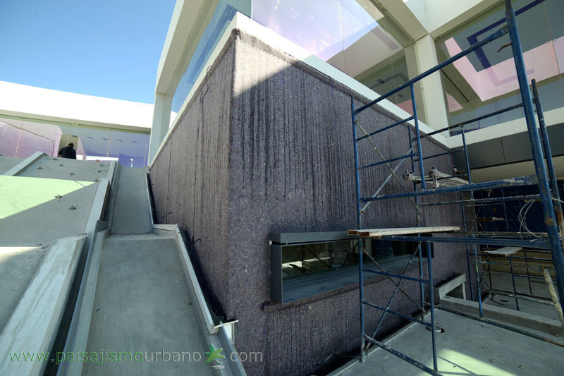 墨西哥绿意盎然的家庭住宅-3