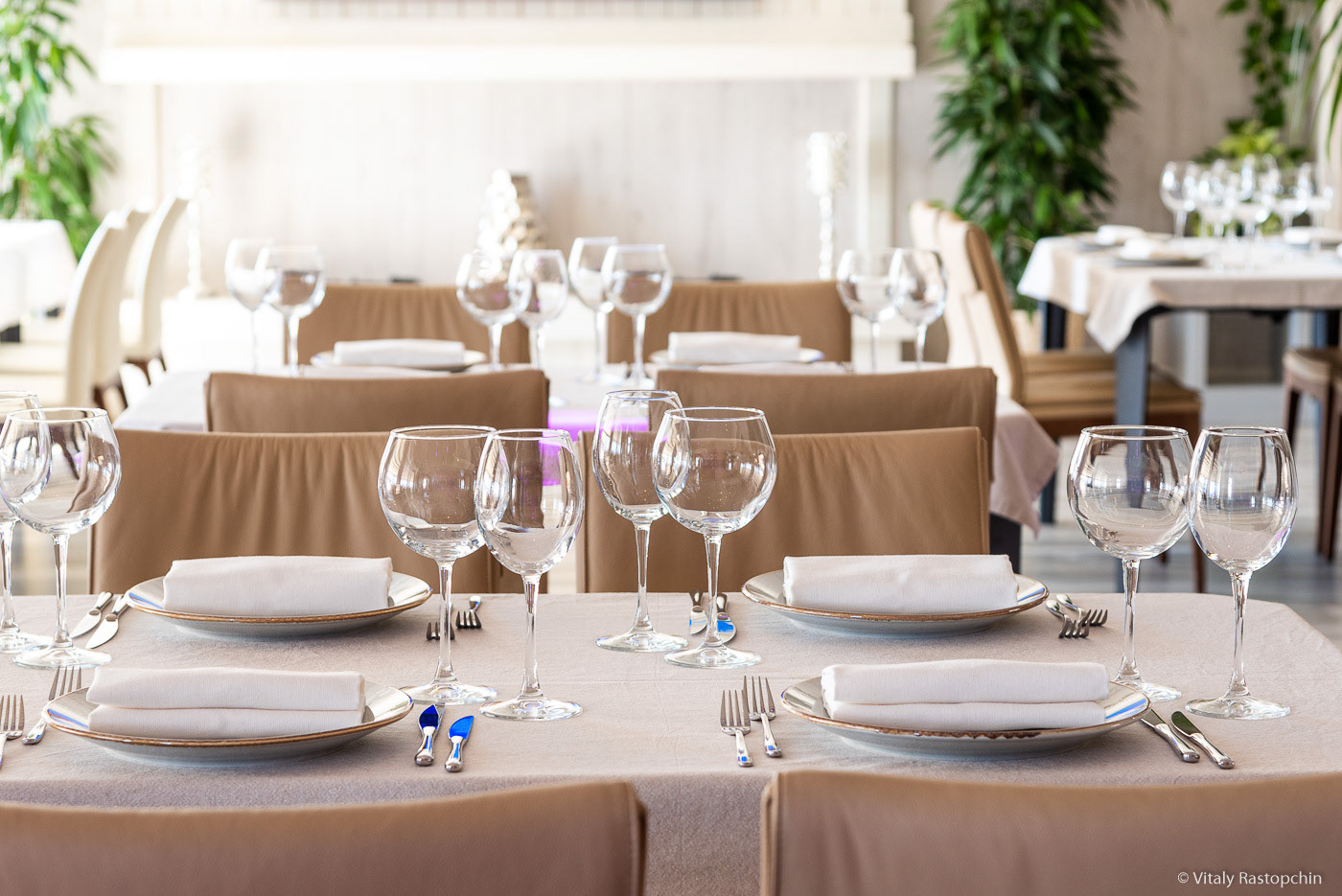 莫斯科 Teplica 餐厅 | 2019 年俄罗斯设计风尚-13