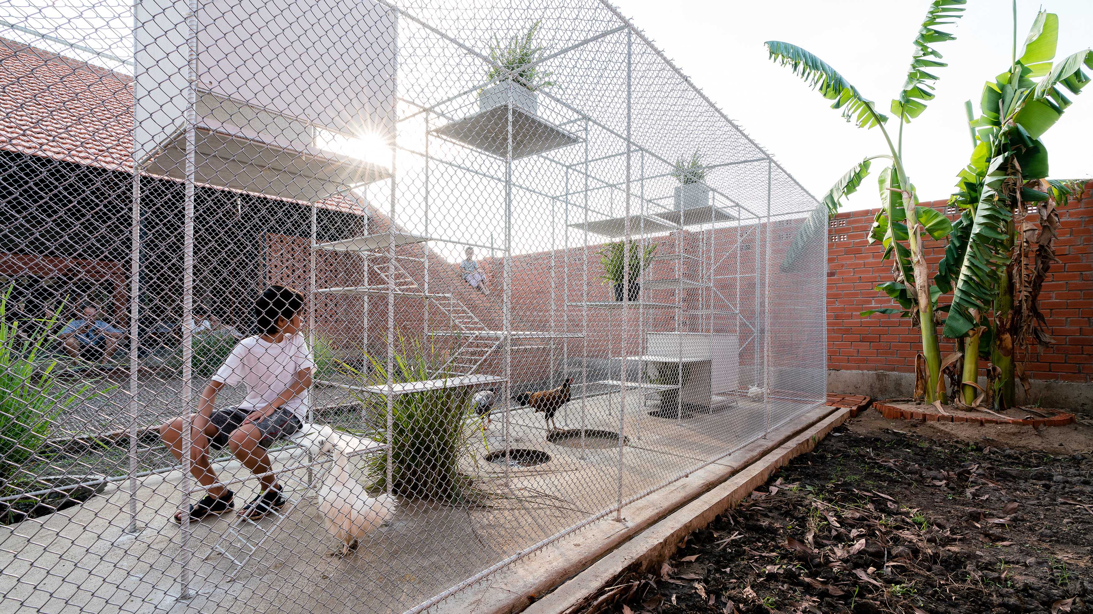 鸡舍建筑,儿童乐趣与自然的融合-15