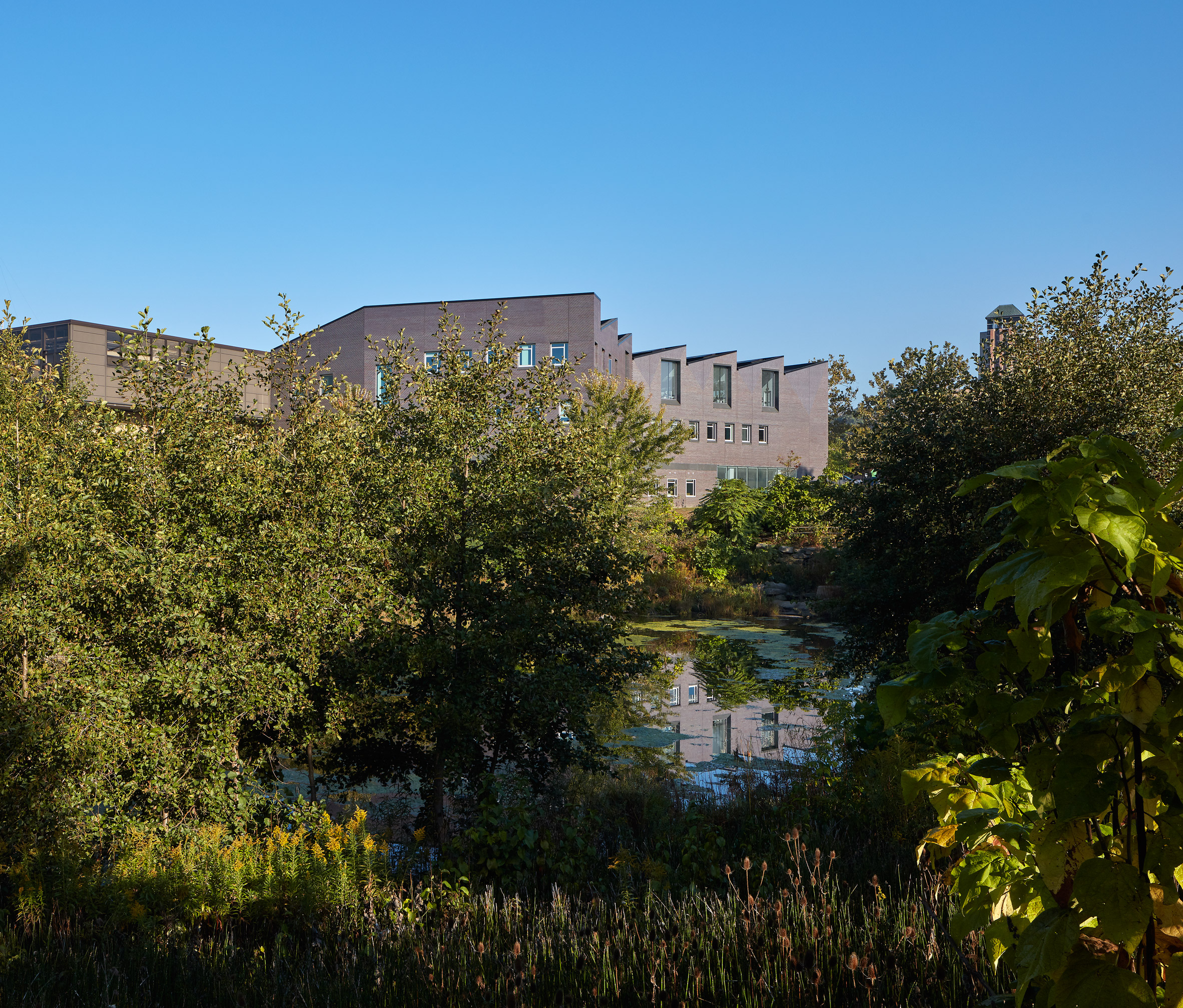 普雷斯顿斯科特科恩打造密歇根建筑学院锯齿屋顶新翼-4