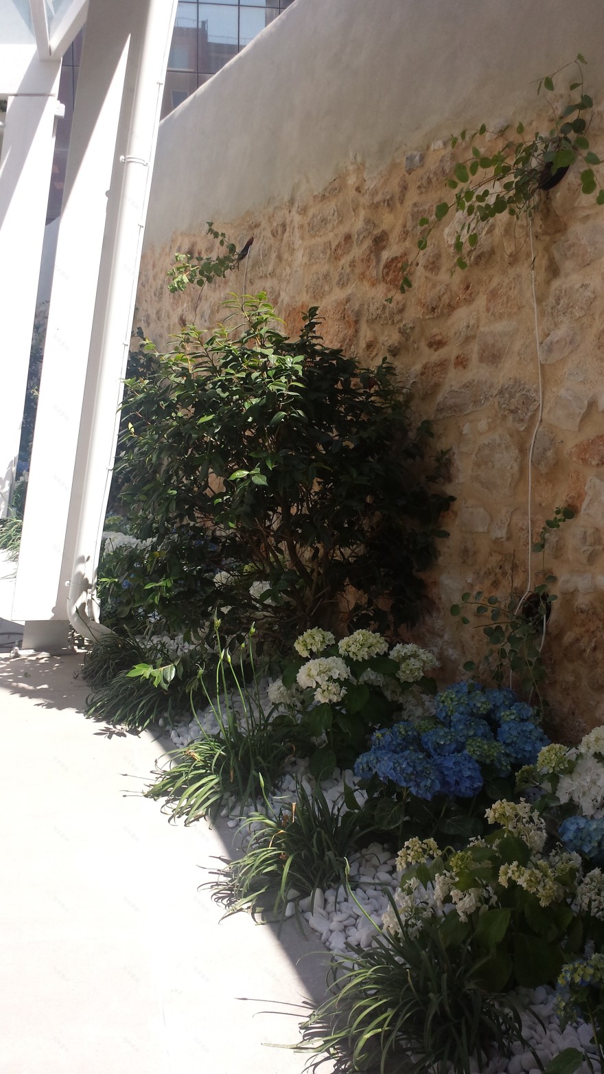 绿意盎然的城市花园——"Verde Matematico"餐厅设计-11