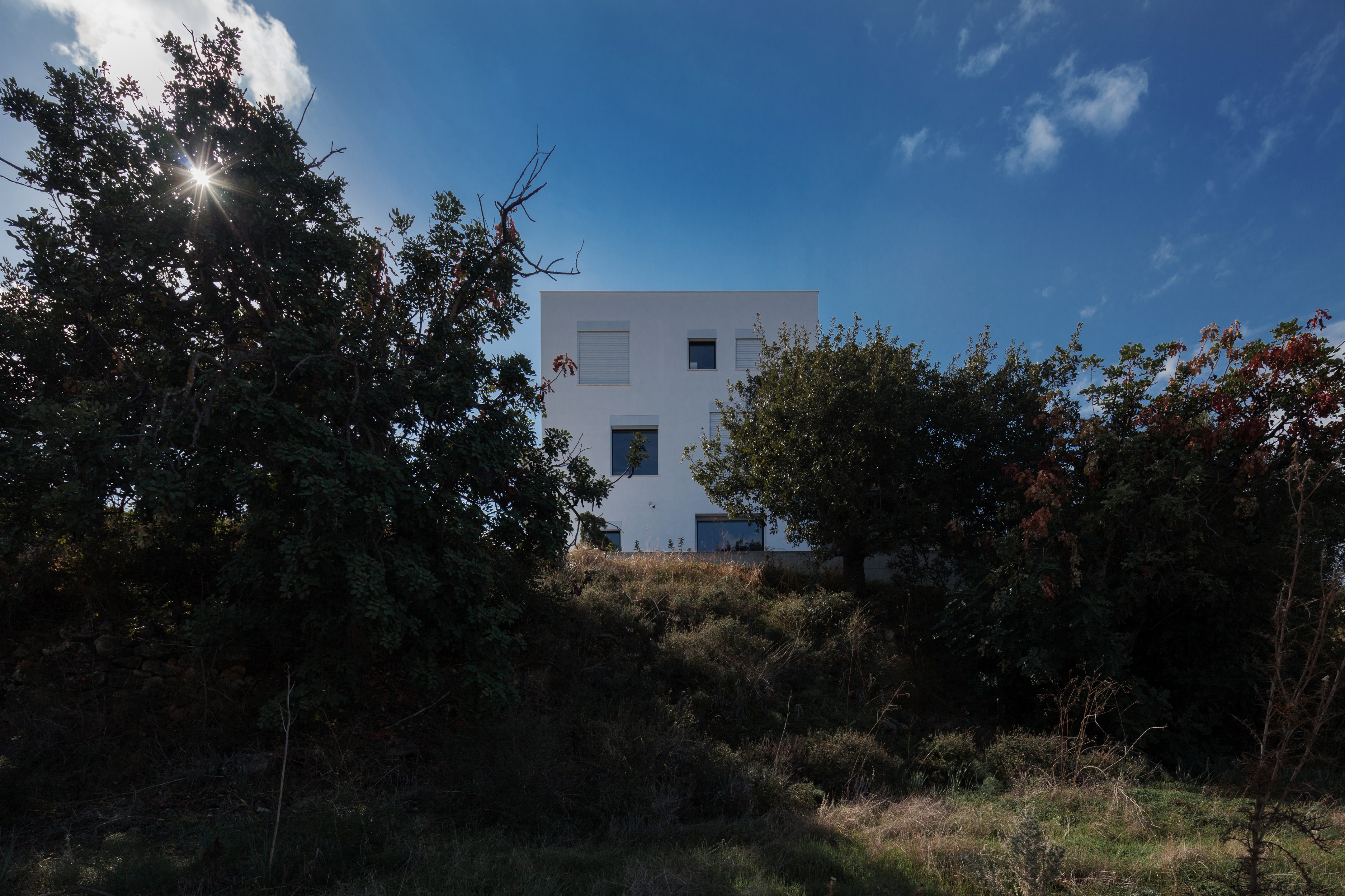 CK House | 嵌入景观的河畔家园-37