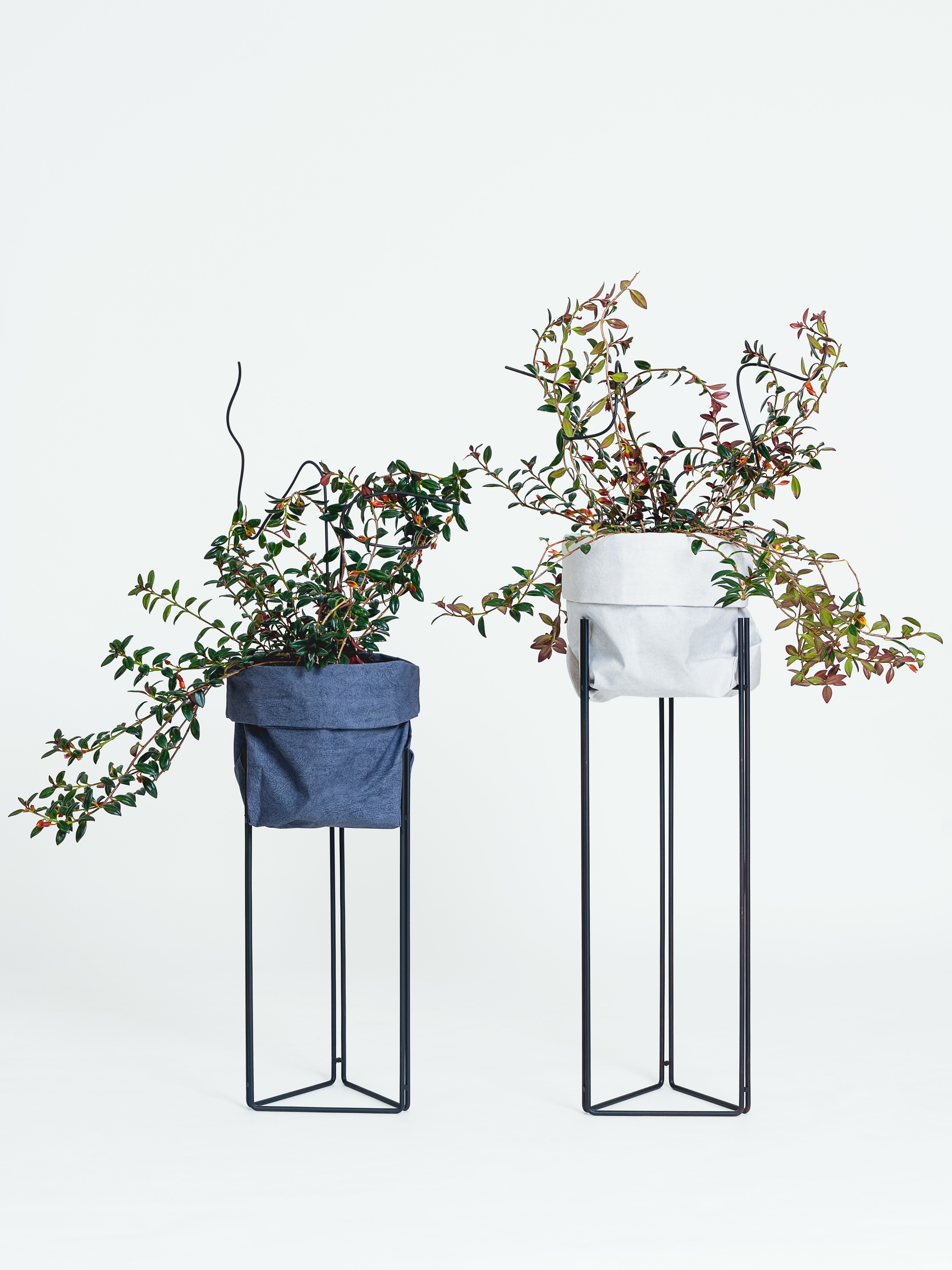 Linha 系列家具 | 灵活金属杆打造的多功能绿植与家居设计-19