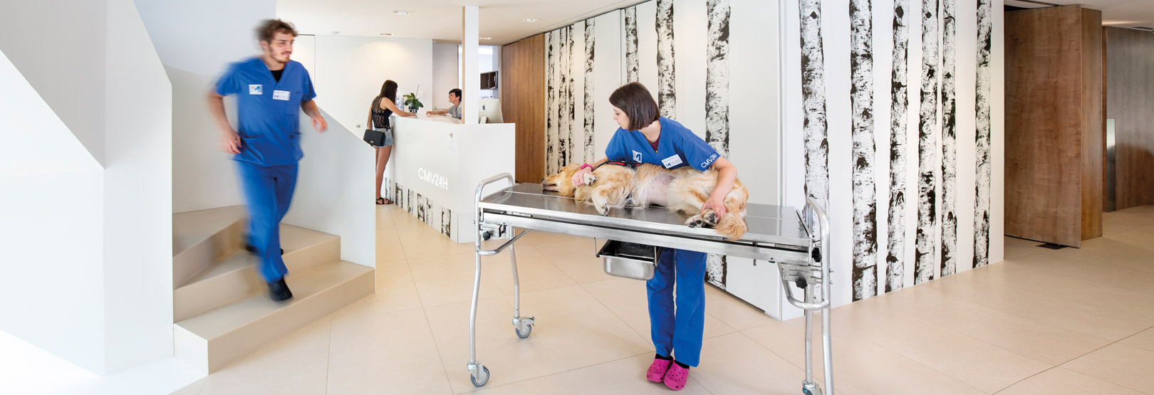 瓦雷泽兽医诊所-3