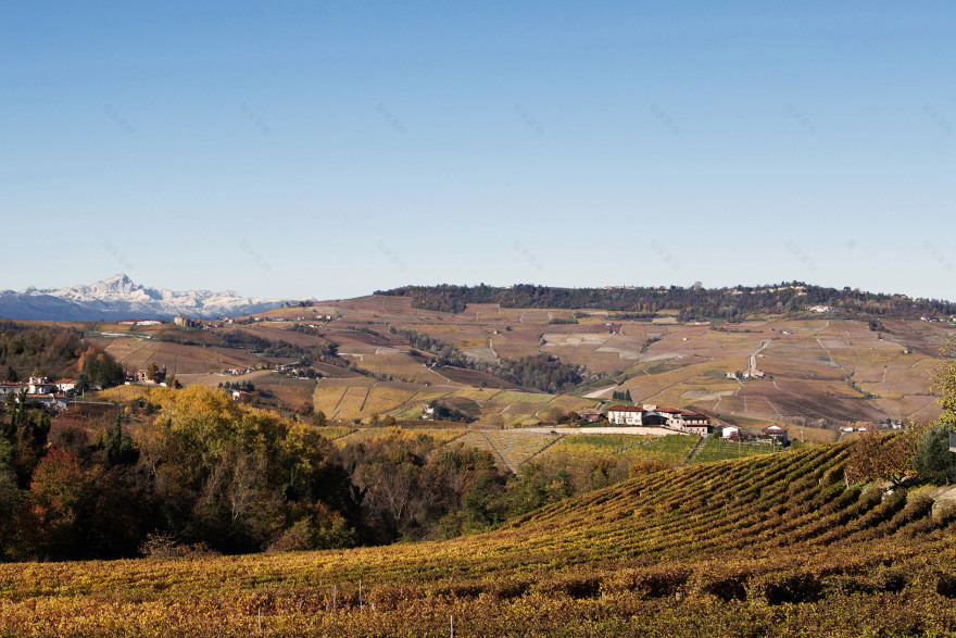 2017 年完成的红酒酒庄 CANTINA PARUSSO 室内设计案例-46