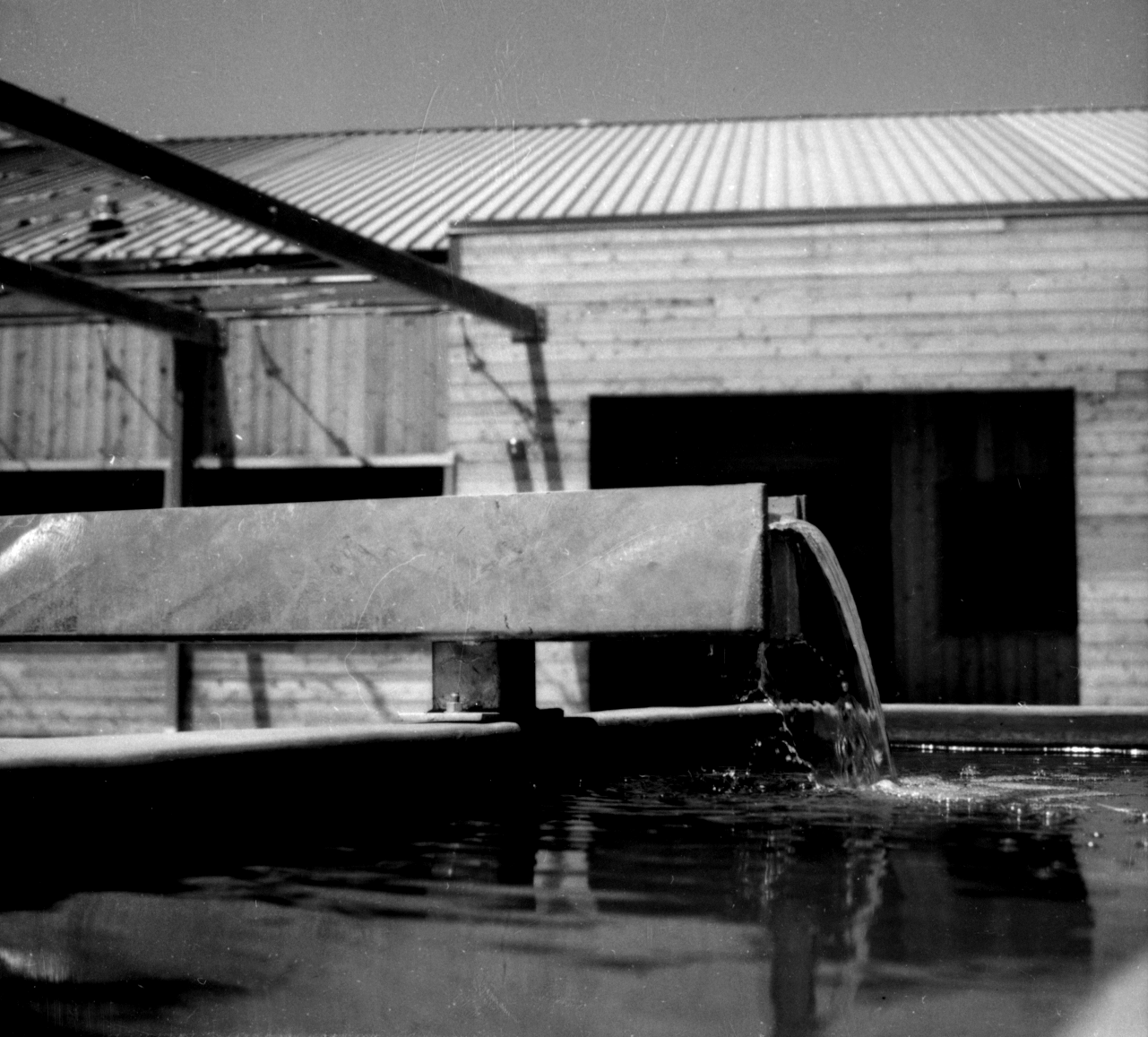 拉文斯伍德酒庄-29