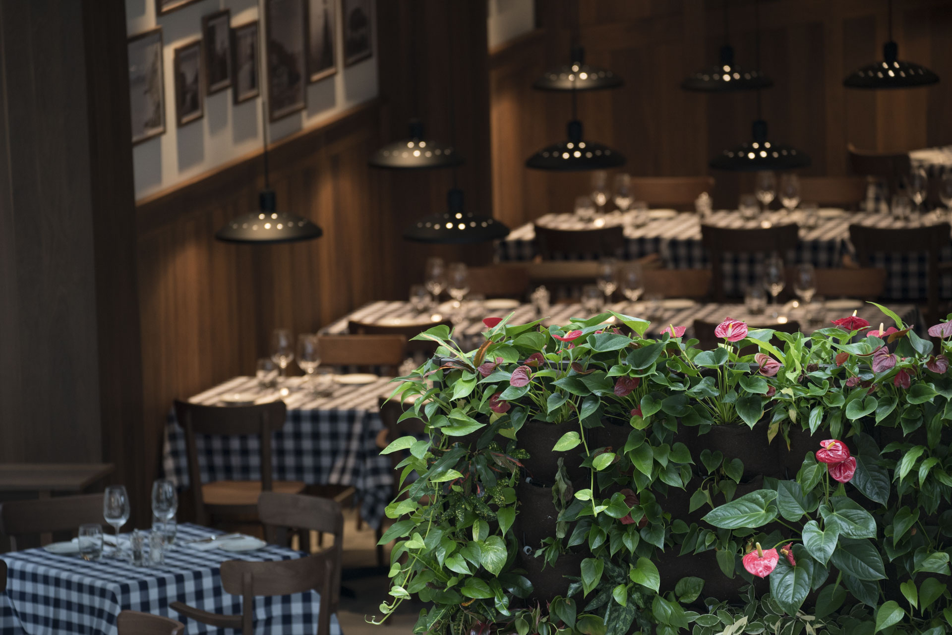 2017 年完成的 Hotel Estrel Portofino 餐厅室内设计-9