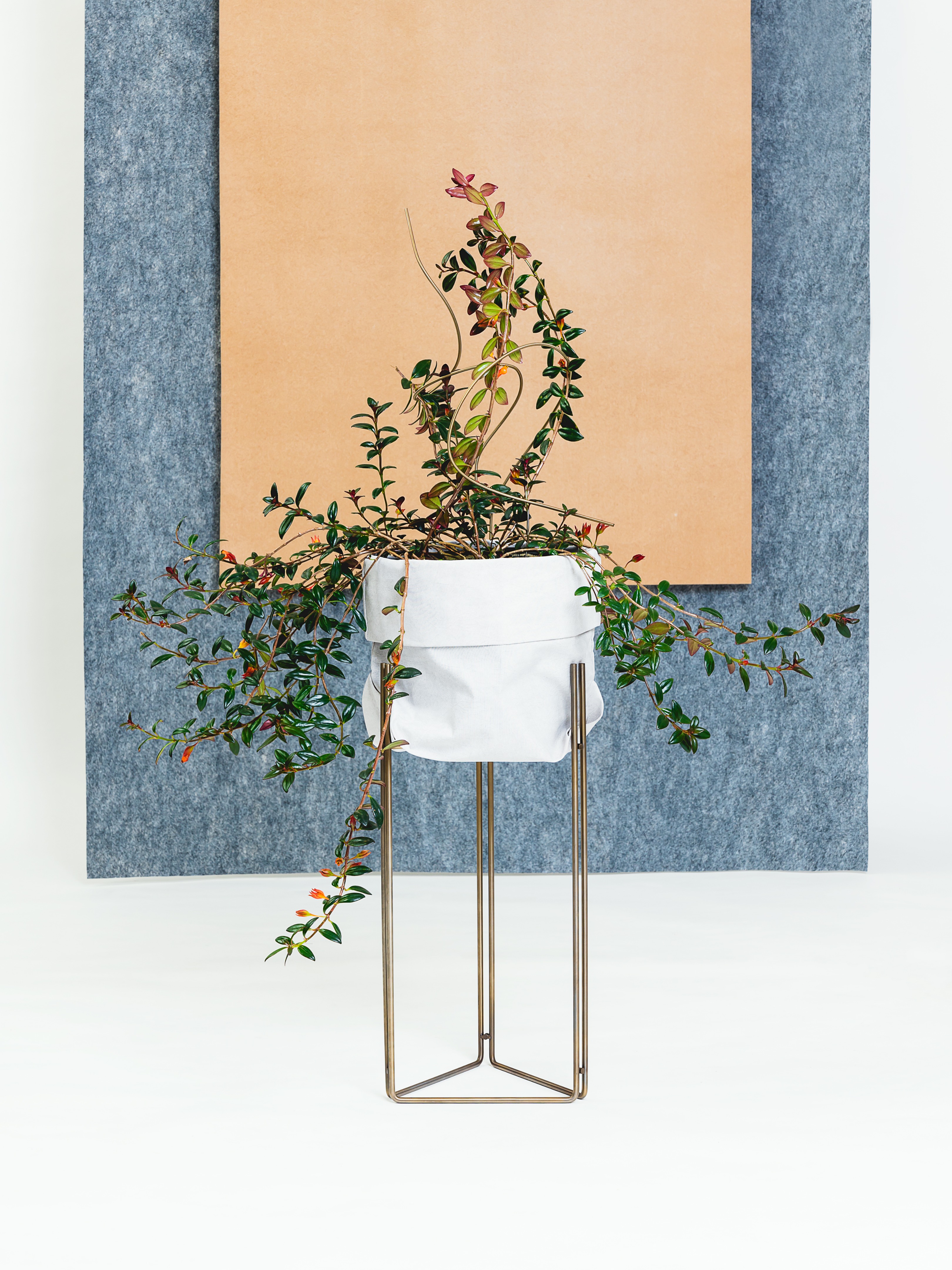 Linha 系列家具 | 灵活金属杆打造的多功能绿植与家居设计-11