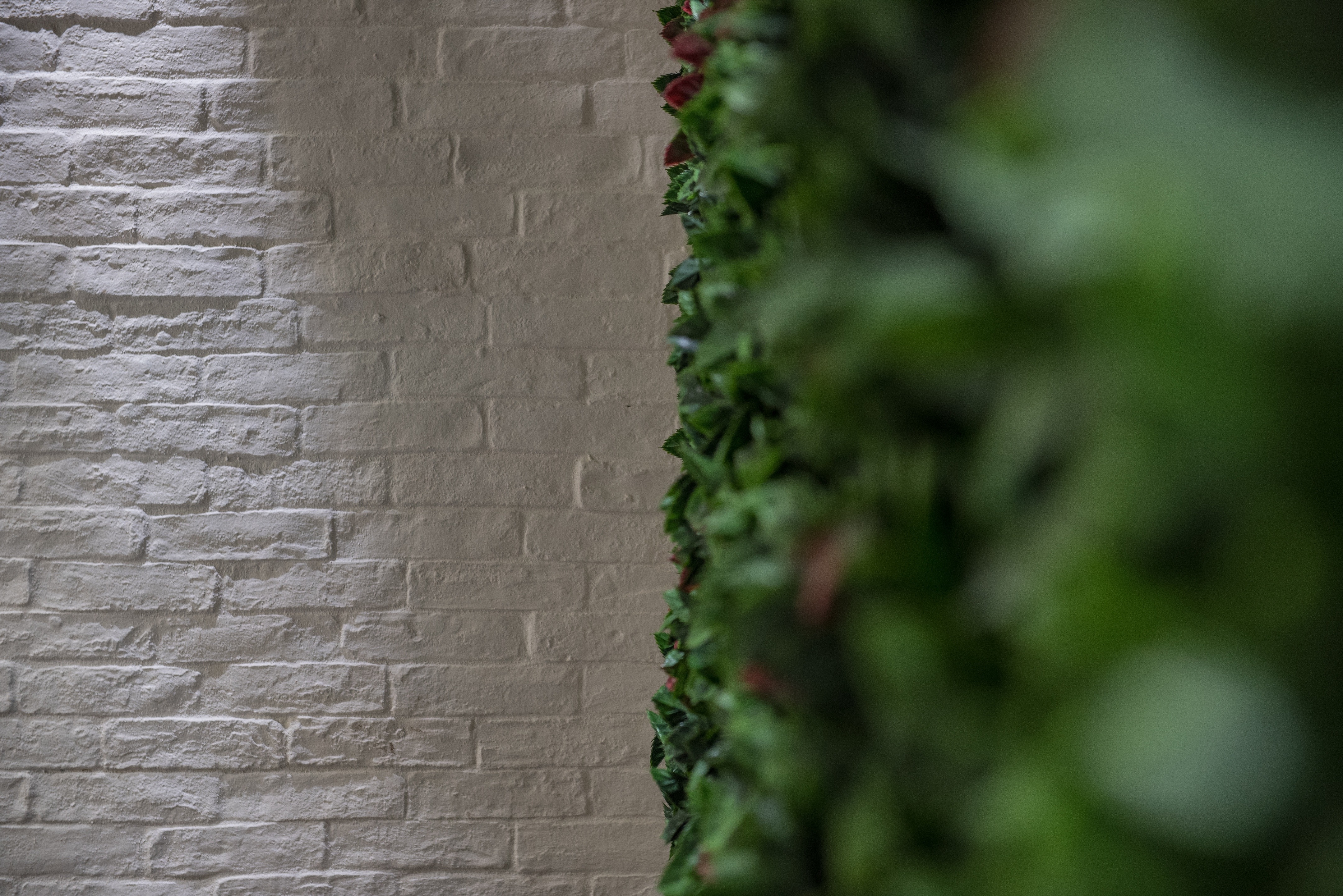 Tsili & Tsili 2015 年完工的发型沙龙-7