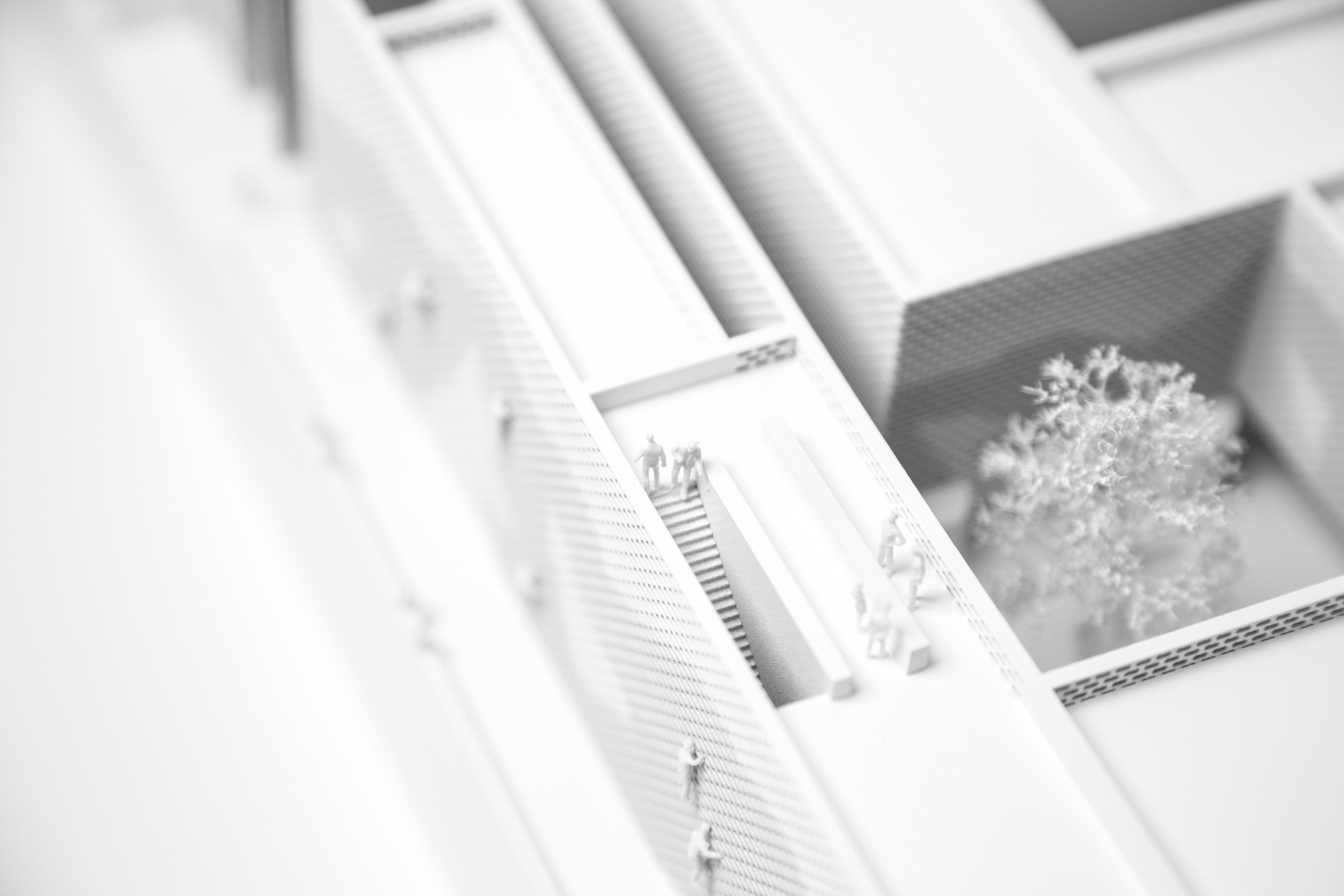 EXPO 2020 公园文化综合体设计-13