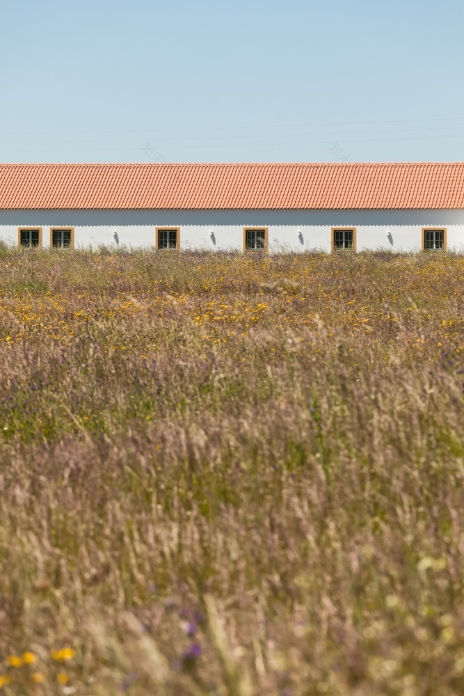 巴罗卡博物馆 (Barroca Museum)-52