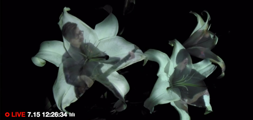 《花之颂》(Hana)-15