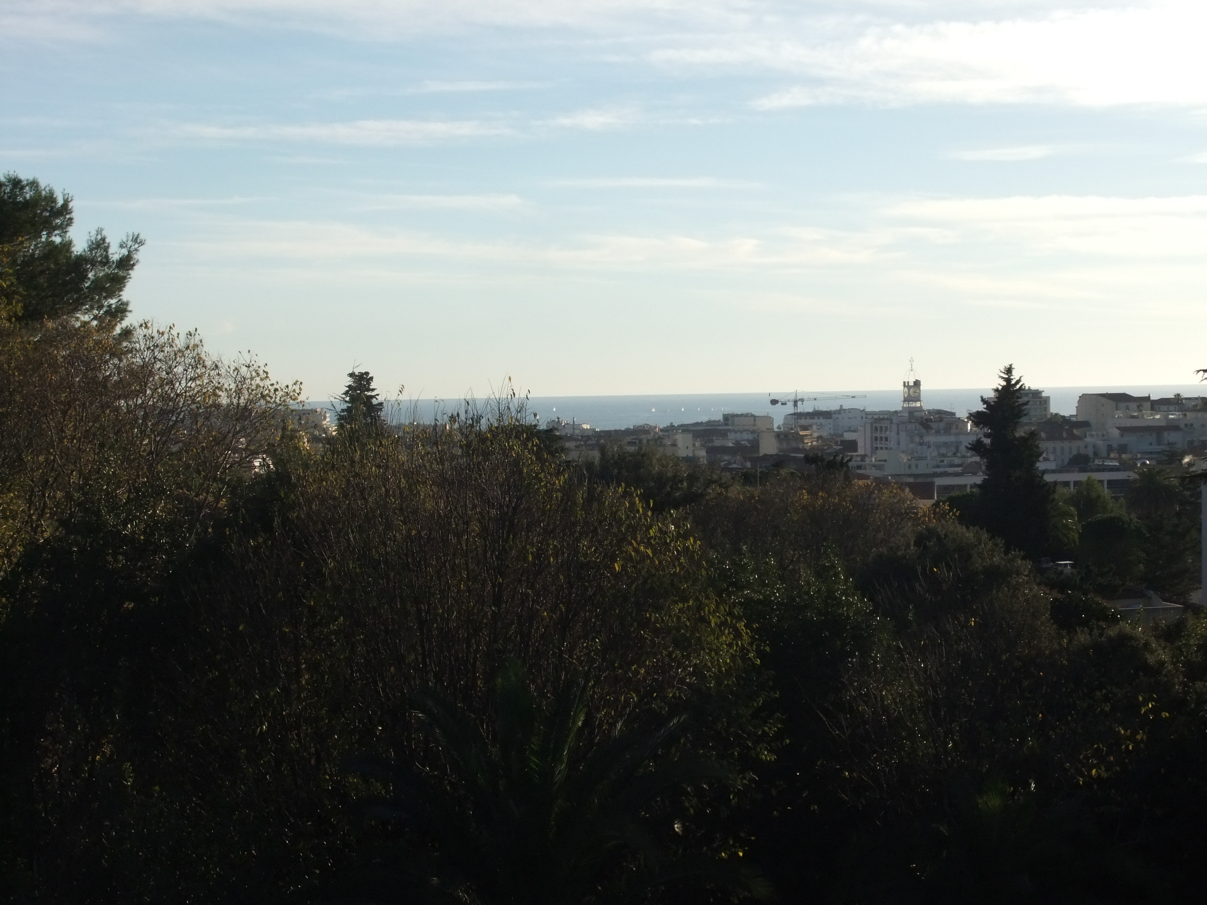 戛纳豪华别墅，舒适宜居的设计典范-9