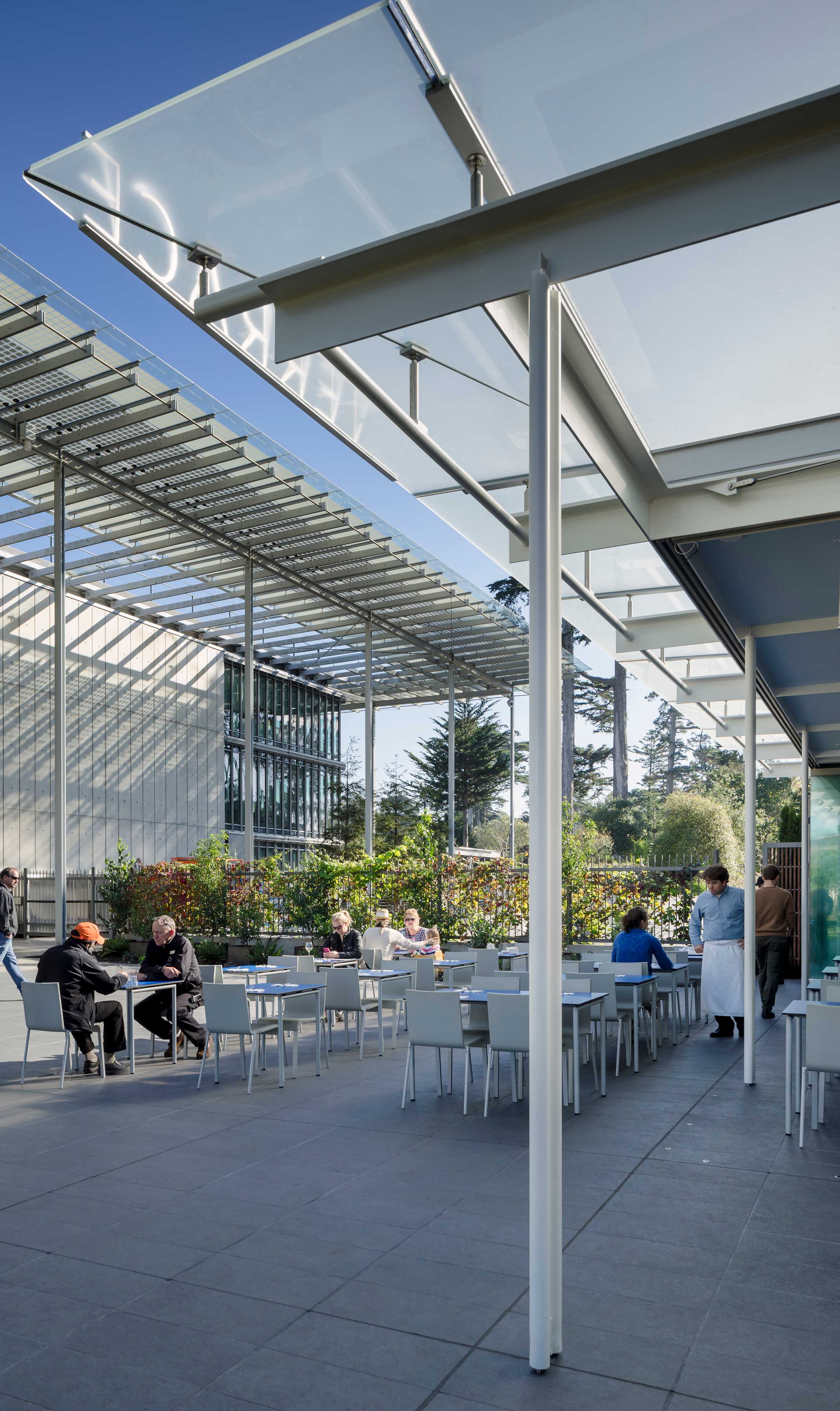 加州科学院露台-9