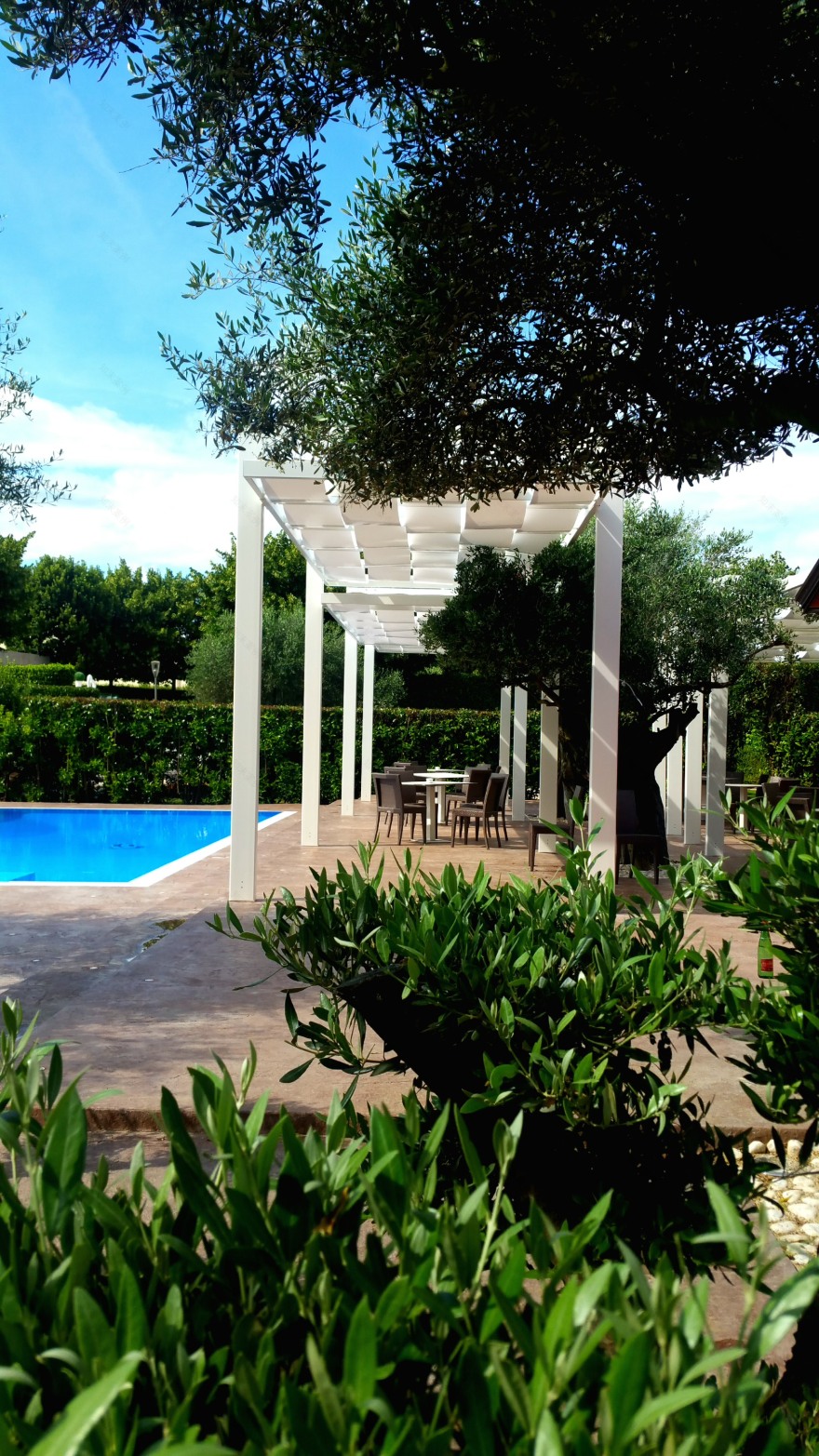 2018 年完工的屋顶花园餐厅-4