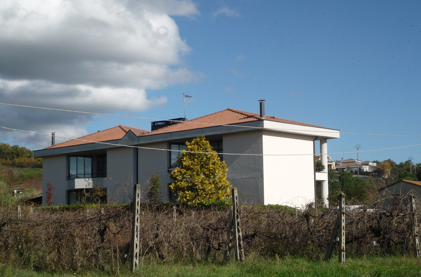 阳光与绿意共生 | 家庭住宅设计案例-4