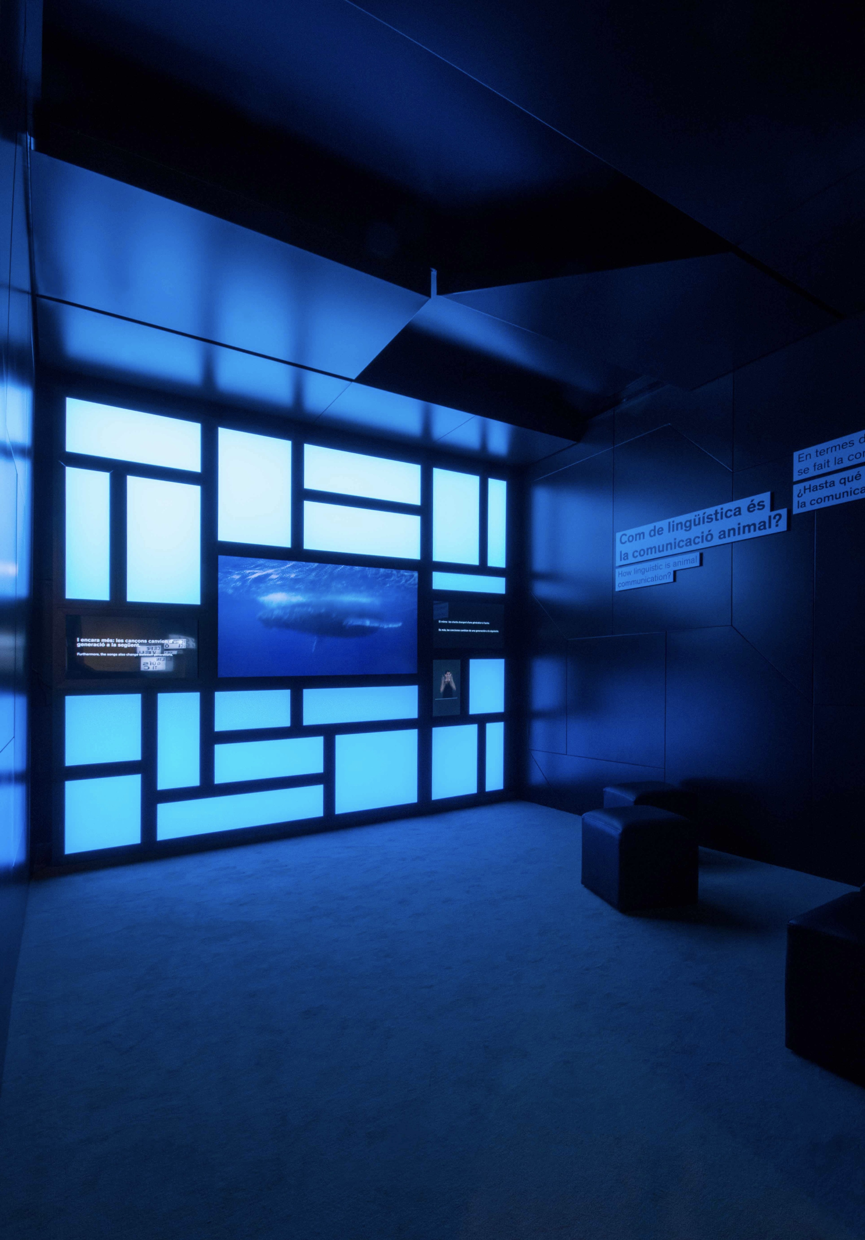 Talking Brains 展览设计-23